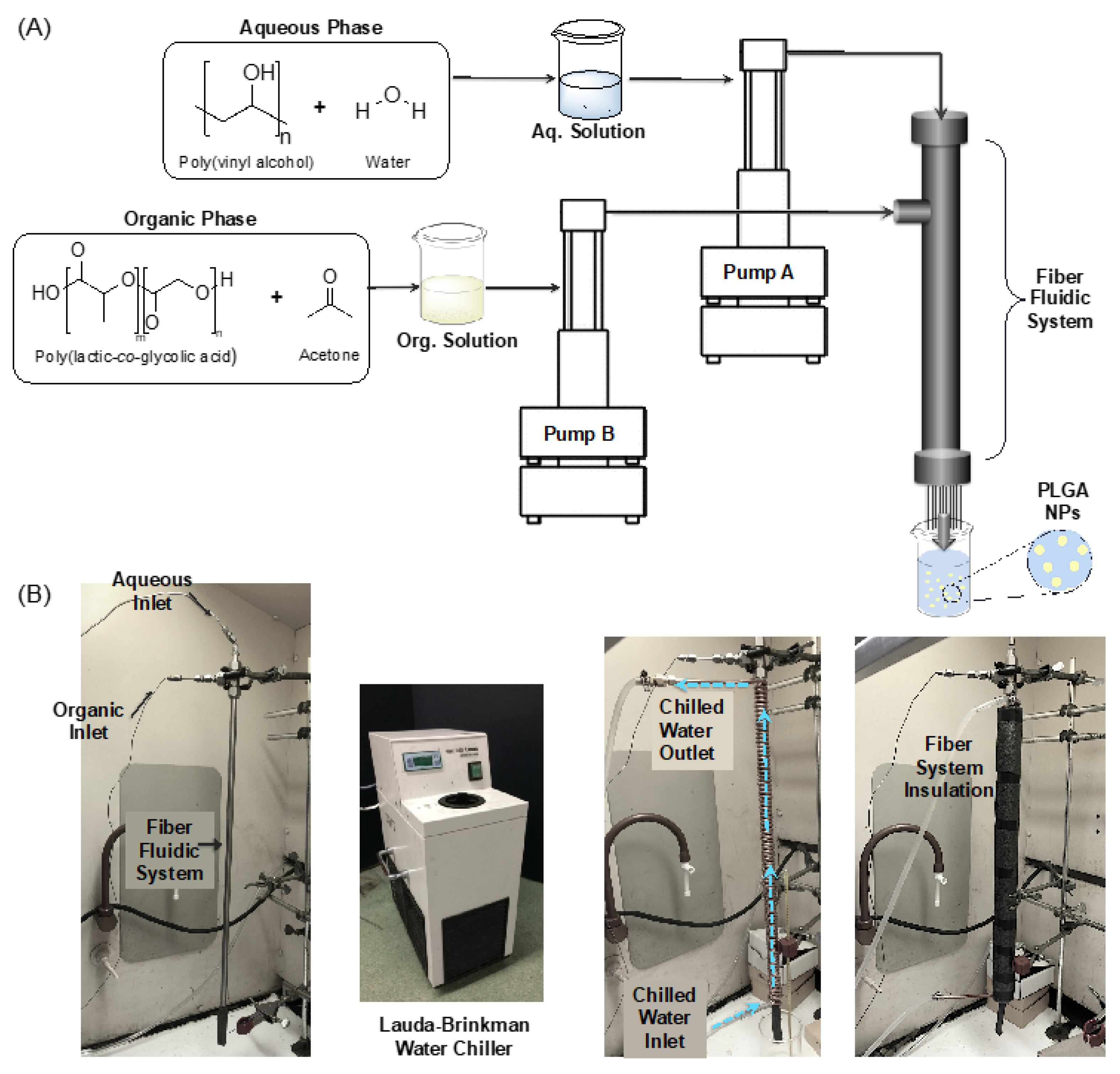 Materials 13 03075 g001