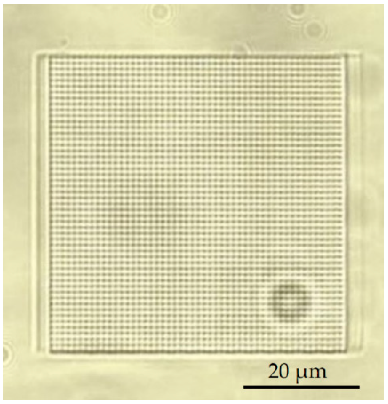 Materials 13 03076 g006 Materials 13 03076 g006