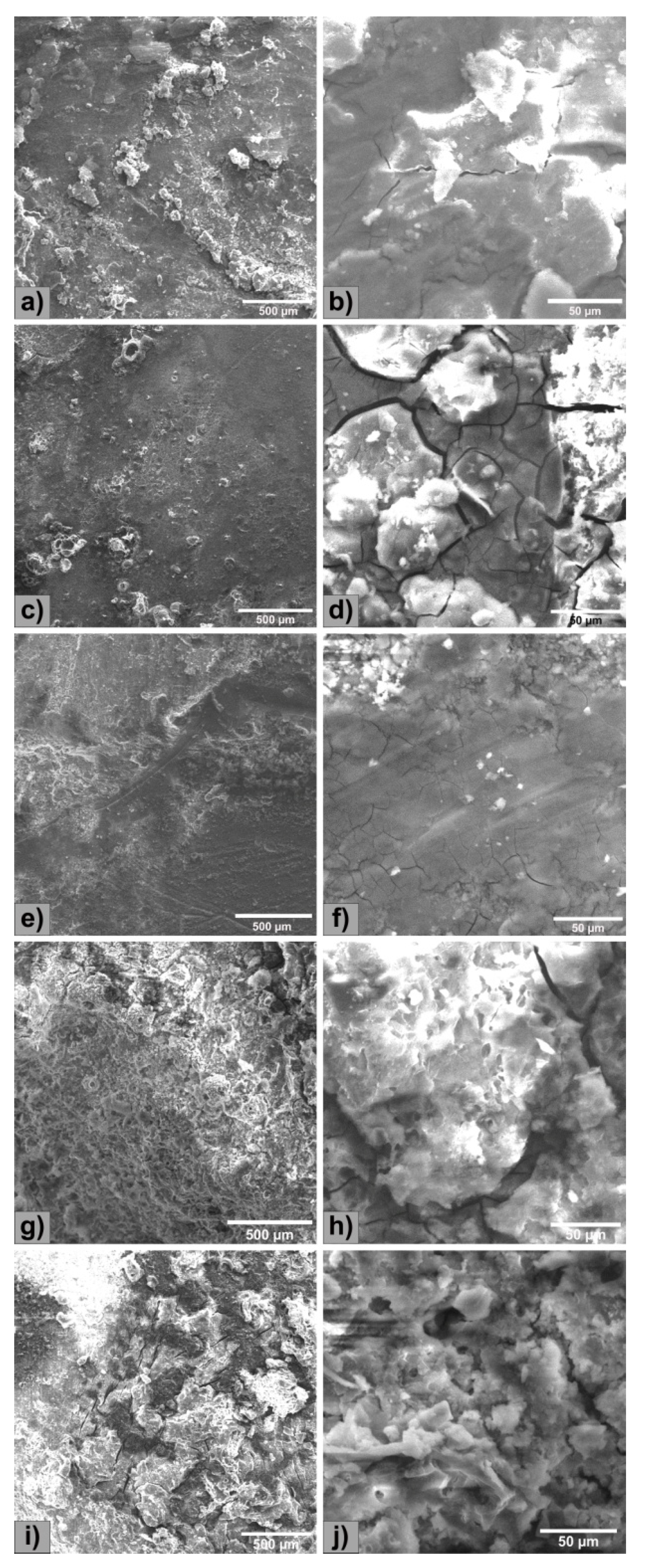 Materials Free Full Text Electrochemical Analysis And In Vitro Assay Of Mg 0 5ca Xy Biodegradable Alloys Html Materials Free Full Text Electrochemical Analysis And In Vitro Assay Of Mg 0 5ca Xy Biodegradable Alloys Html