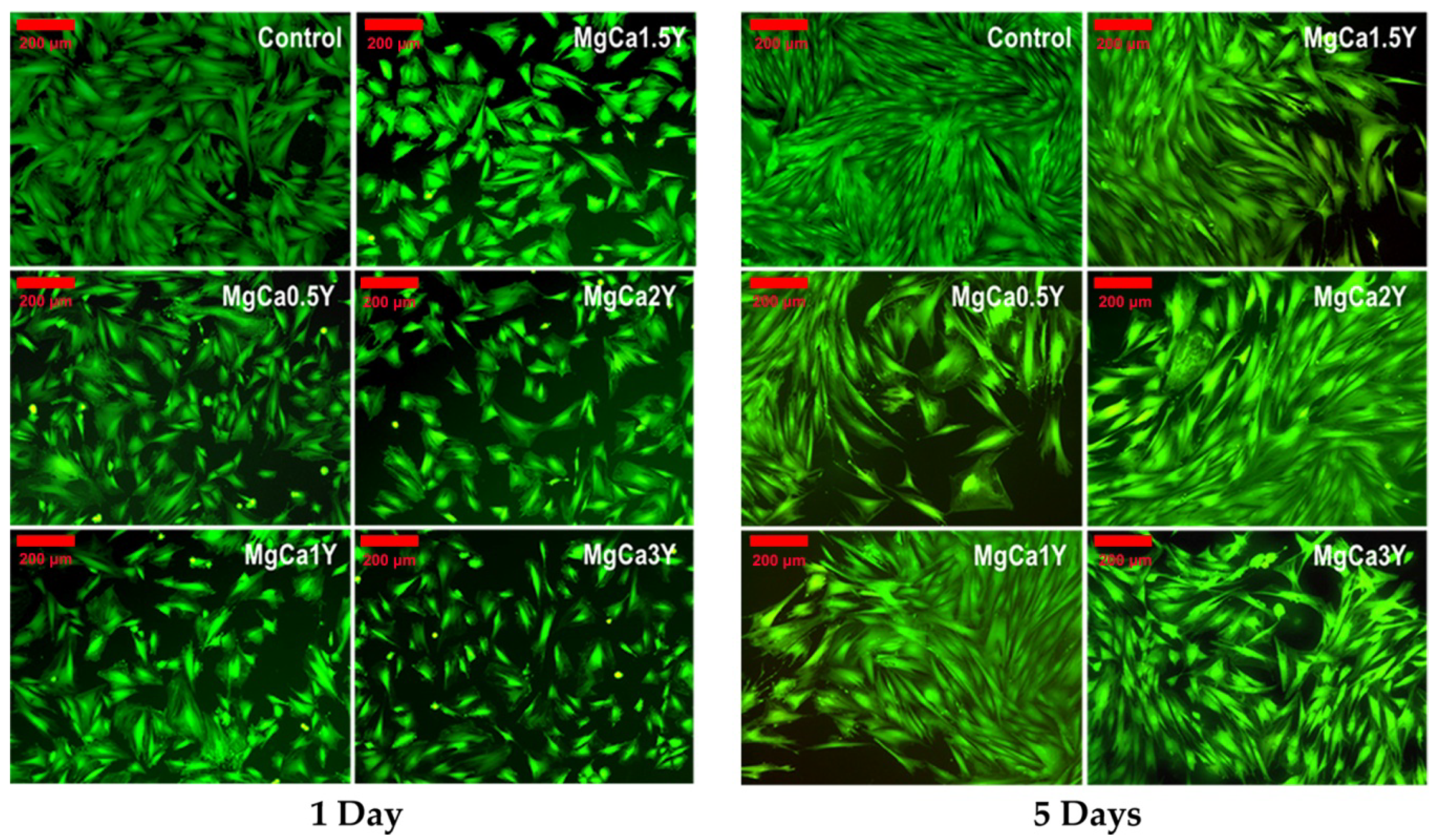 Materials 13 03082 g009 Materials 13 03082 g009