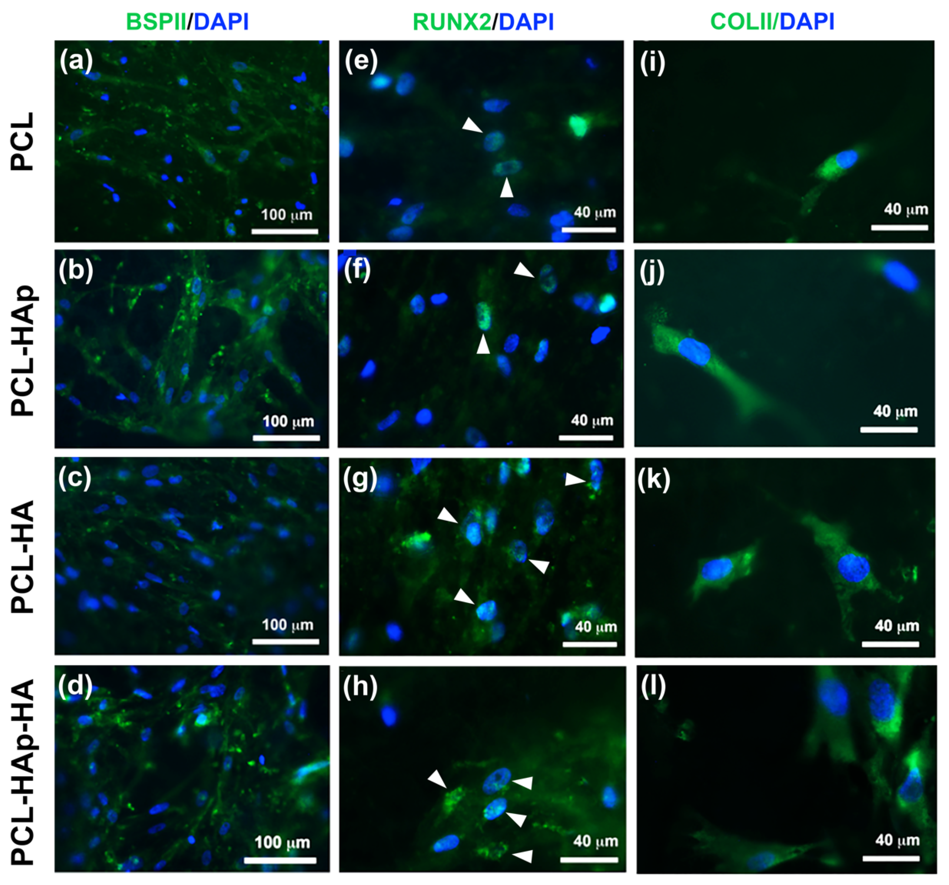 Materials 13 03087 g003 Materials 13 03087 g003