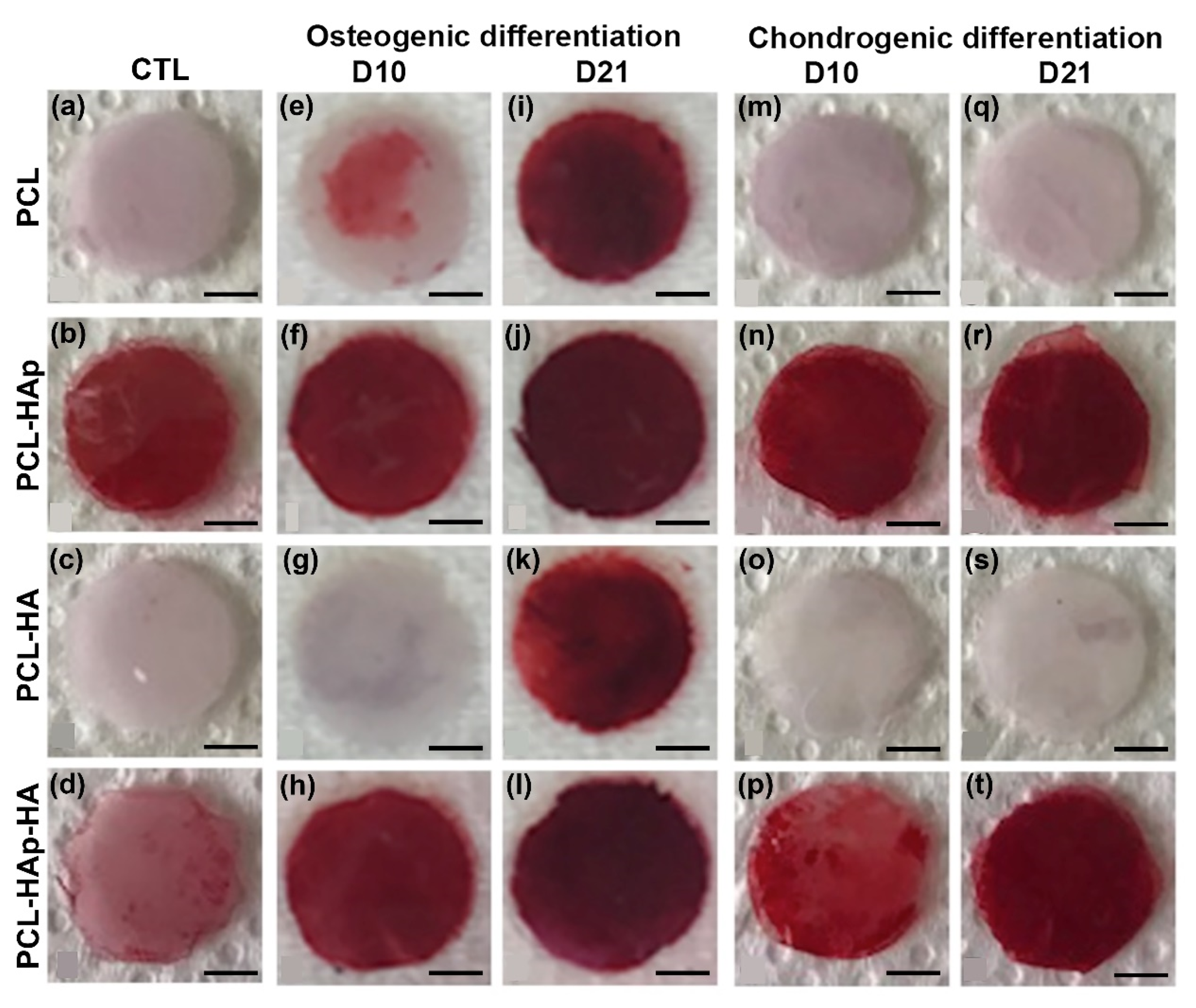 Materials 13 03087 g005 Materials 13 03087 g005