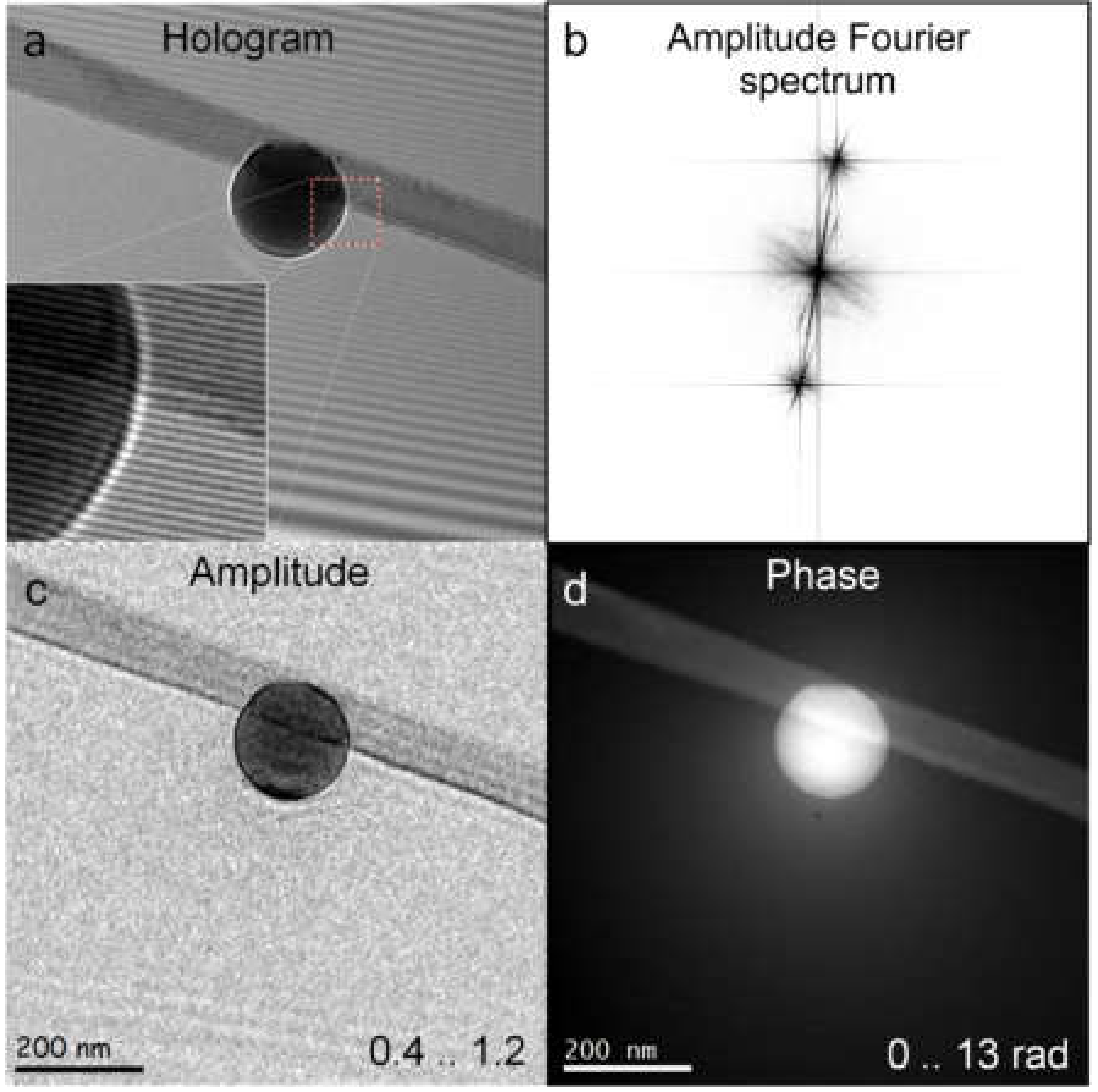 Materials 13 03089 g013