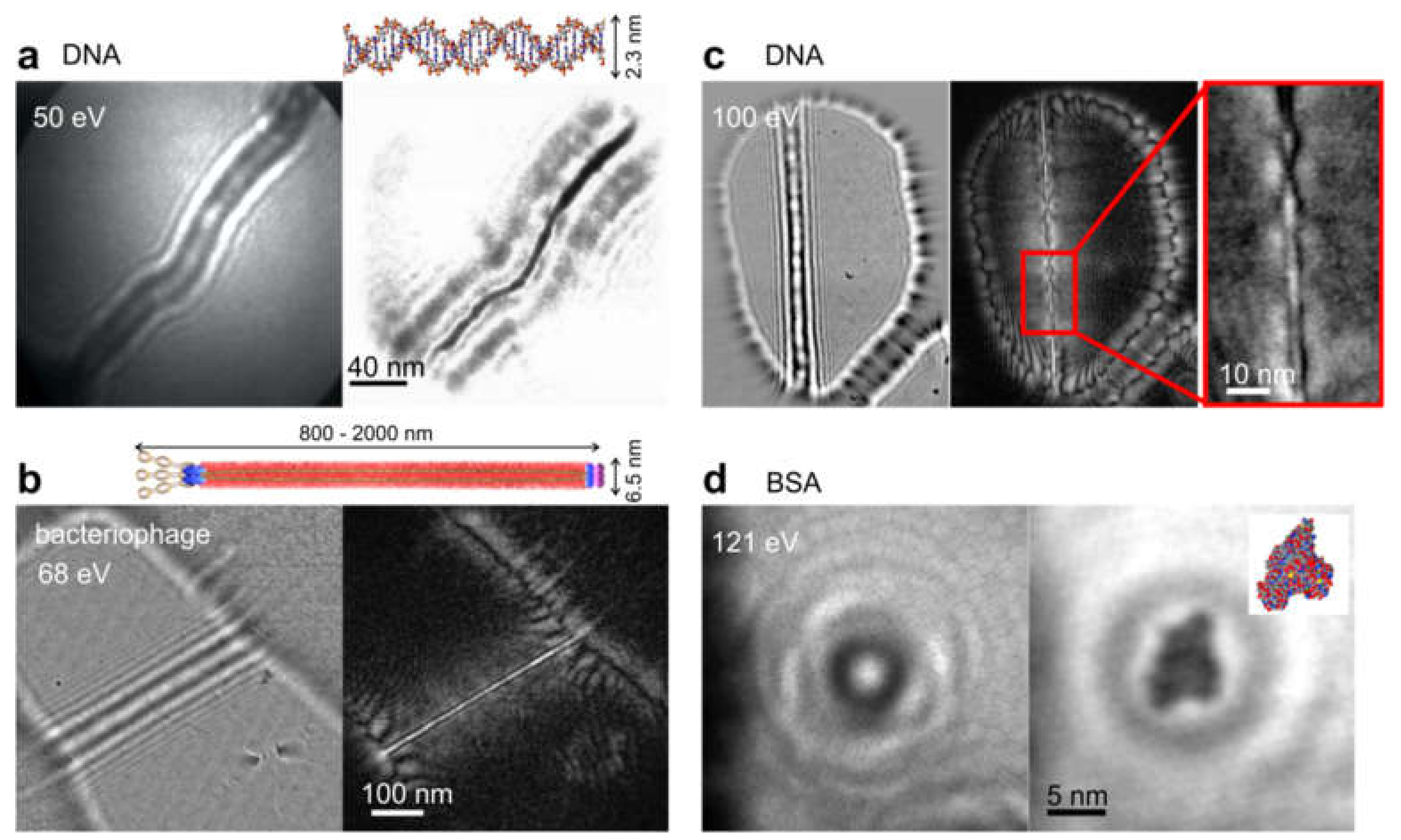 Materials 13 03089 g020
