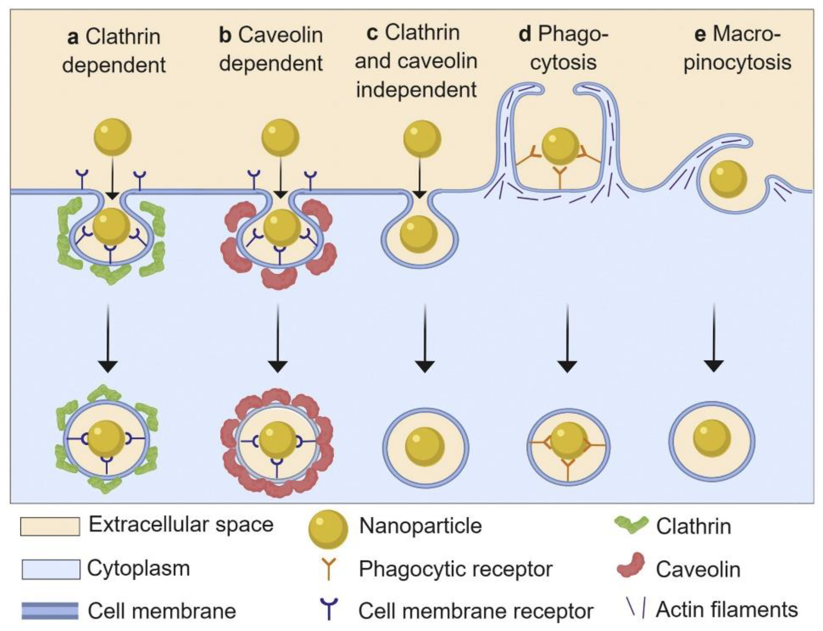 Materials 13 03093 g008 Materials 13 03093 g008