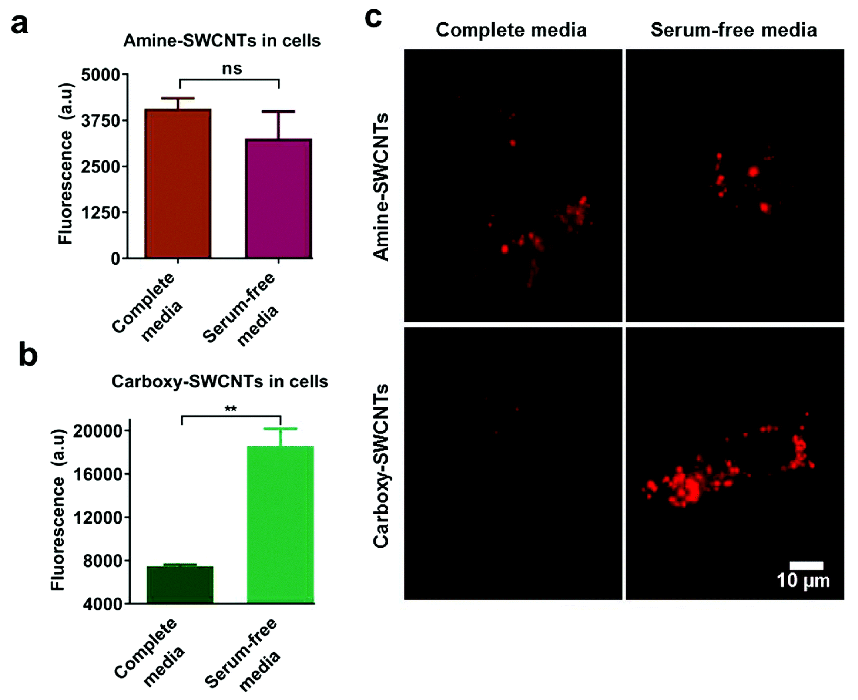 Materials 13 03093 g010 Materials 13 03093 g010