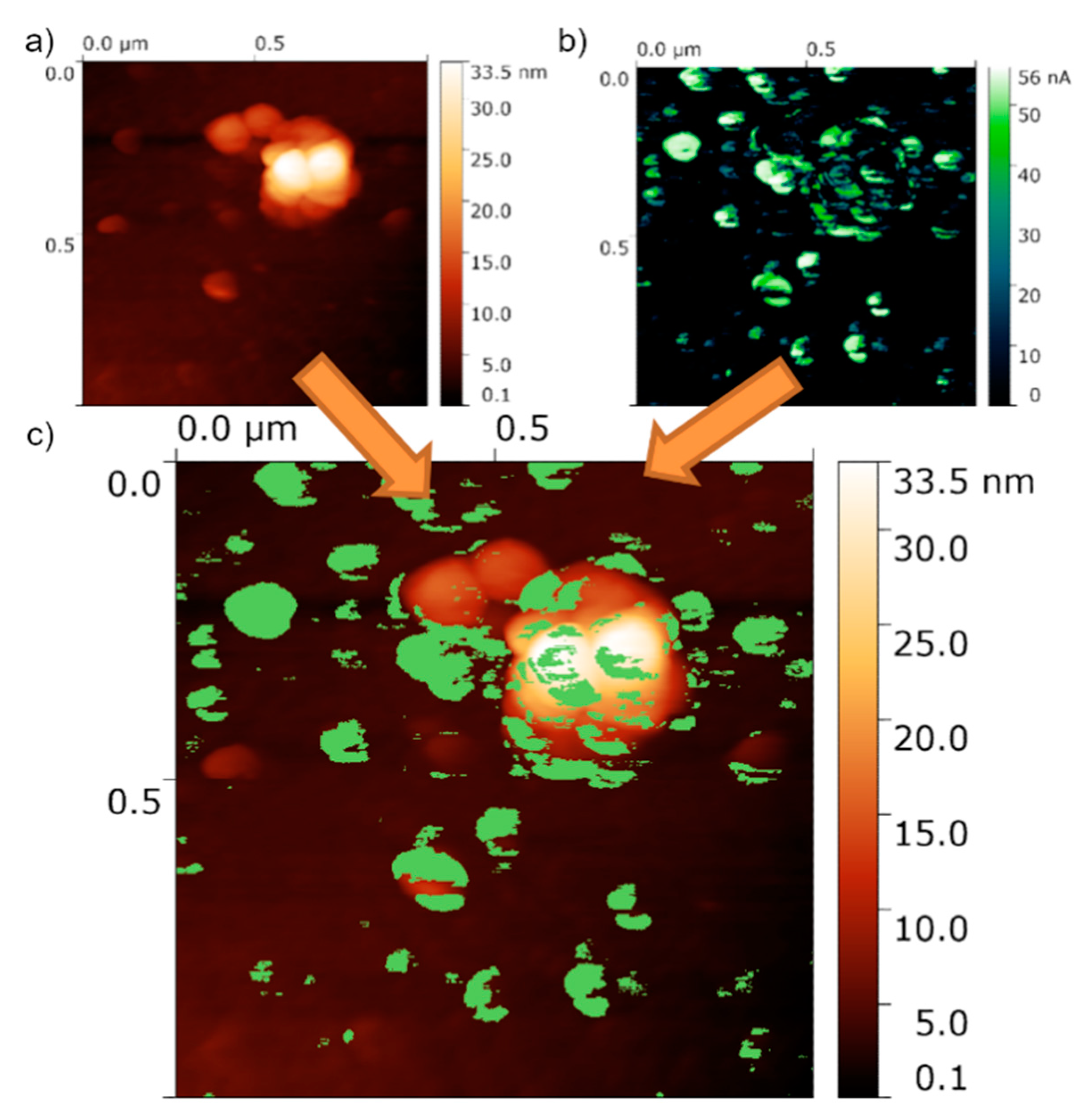 Materials 13 03111 g009 Materials 13 03111 g009