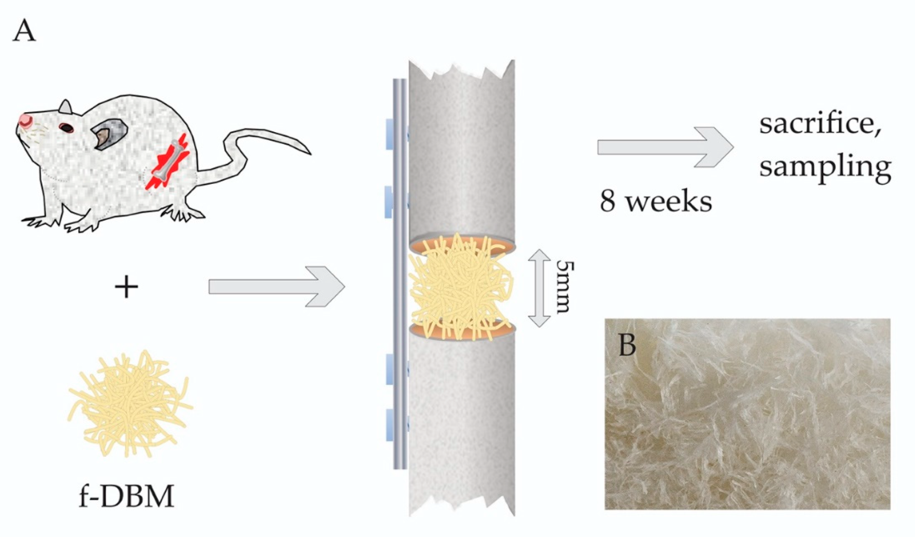 Materials 13 03120 g001 Materials 13 03120 g001