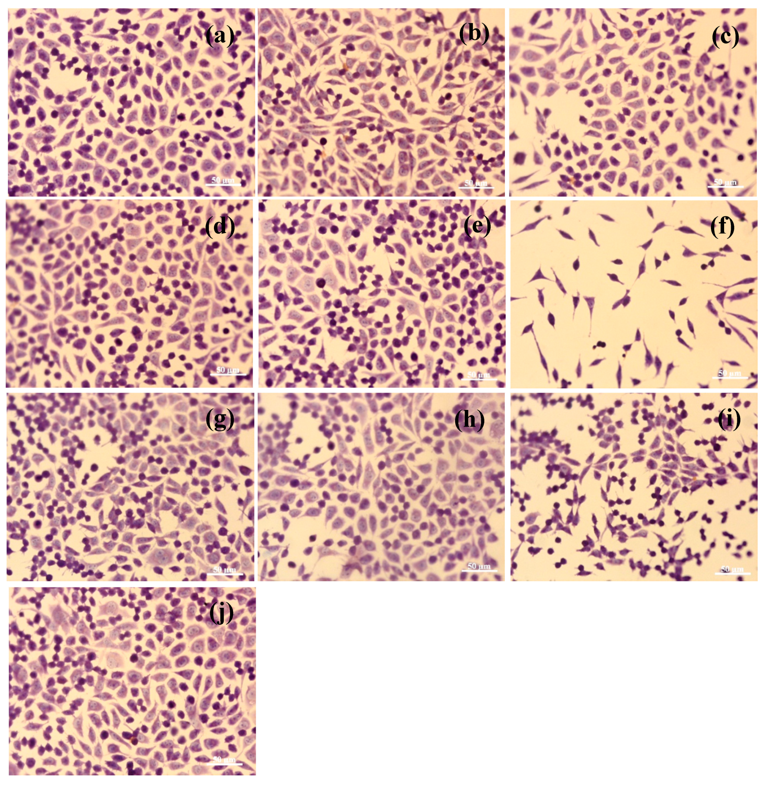 Materials 13 03149 g008 Materials 13 03149 g008