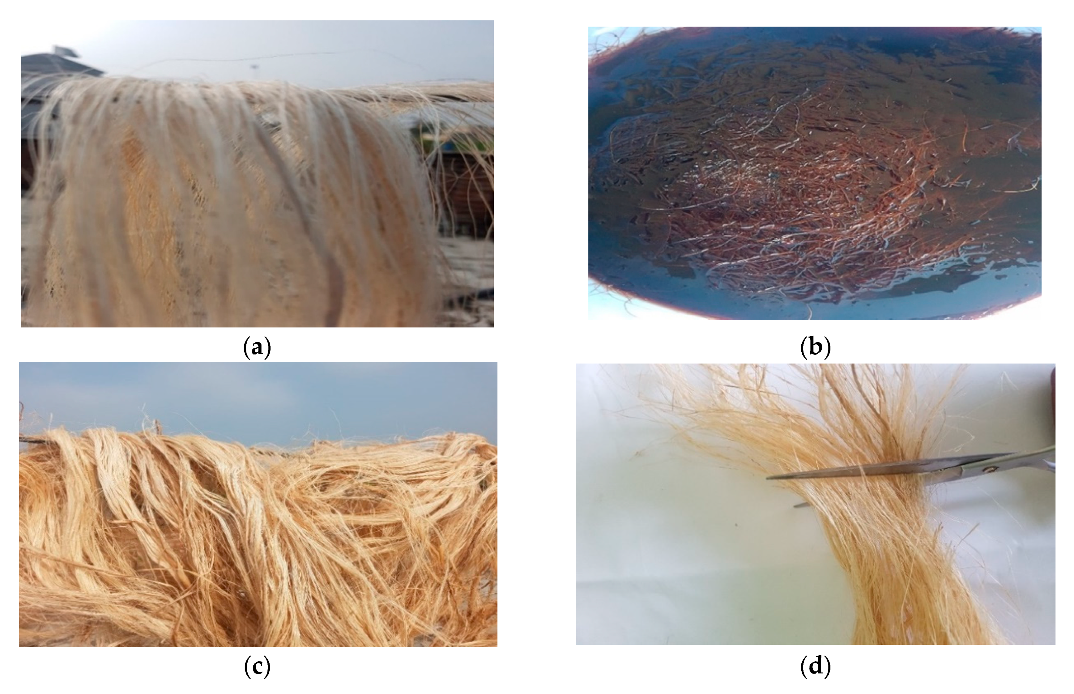 Materials 13 03167 g002 Materials 13 03167 g002