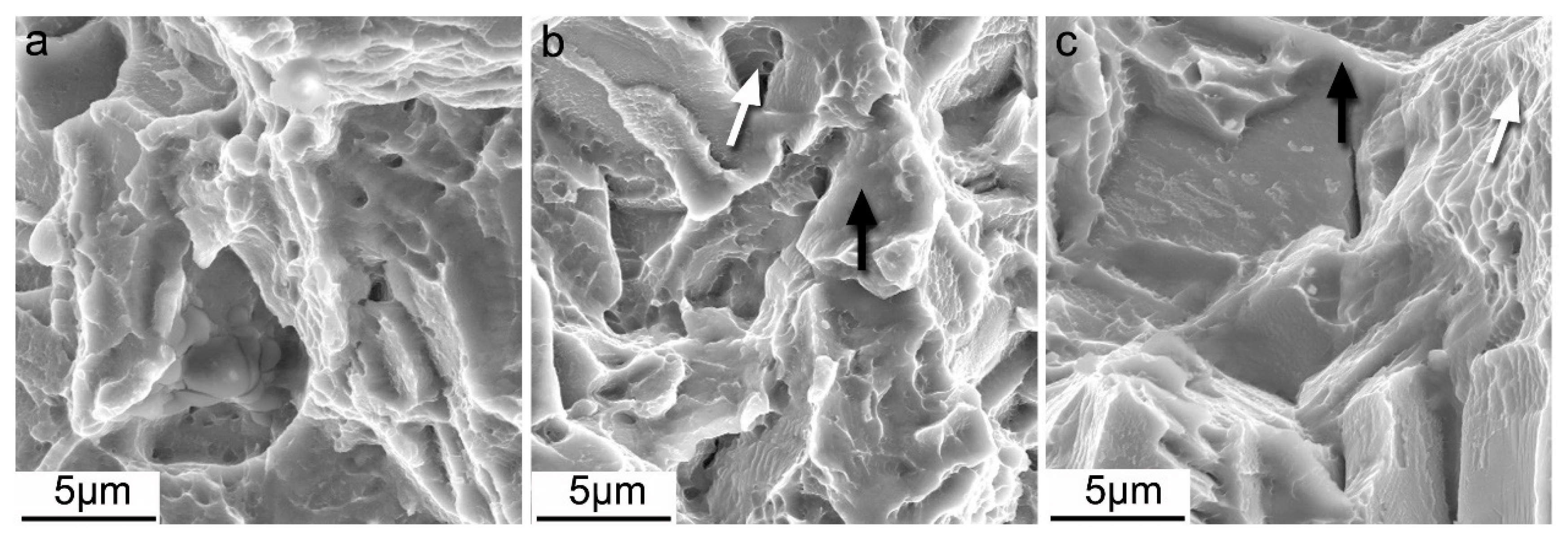 Materials 13 03181 g008