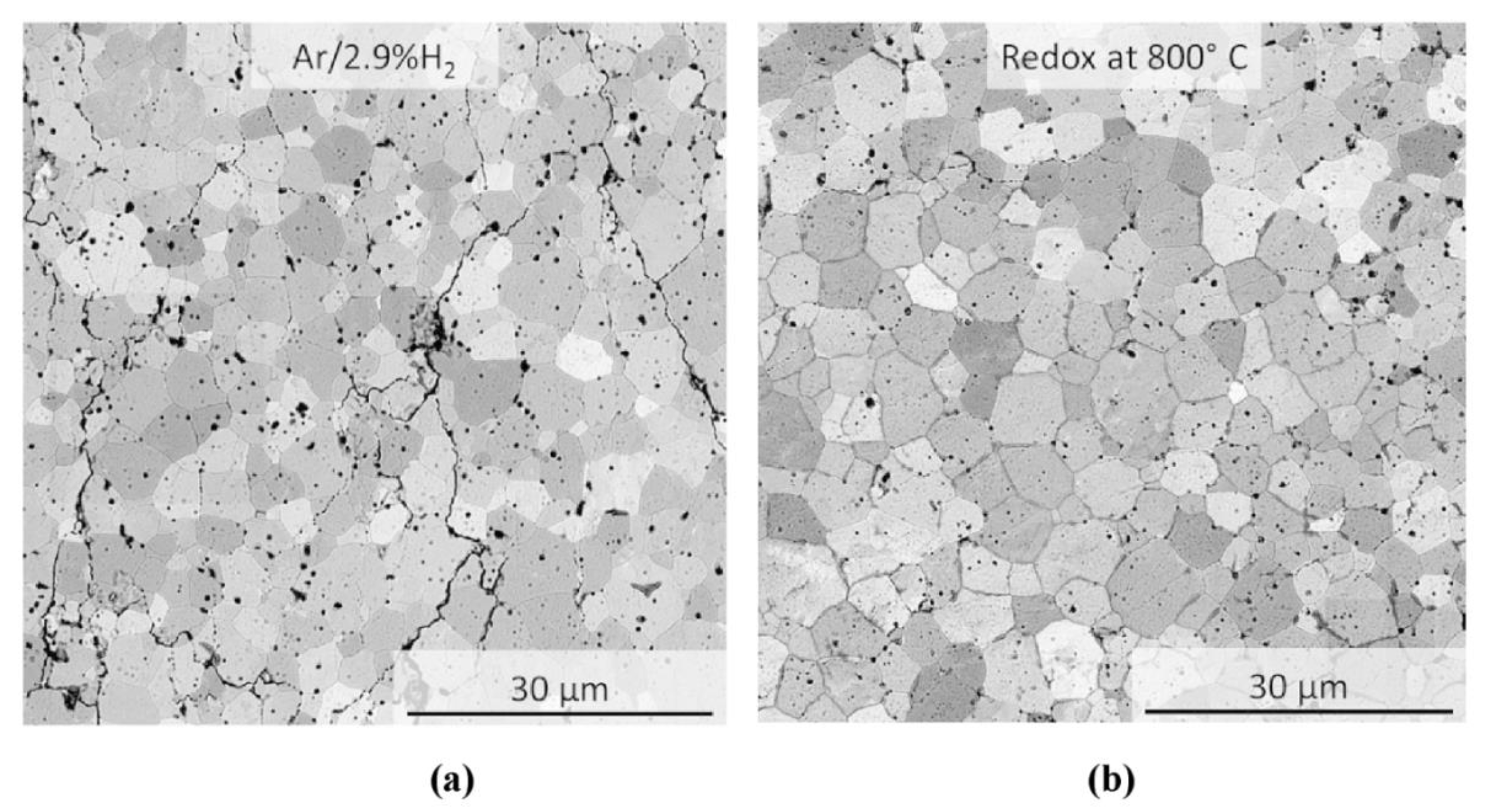 Materials 13 03184 g009 Materials 13 03184 g009