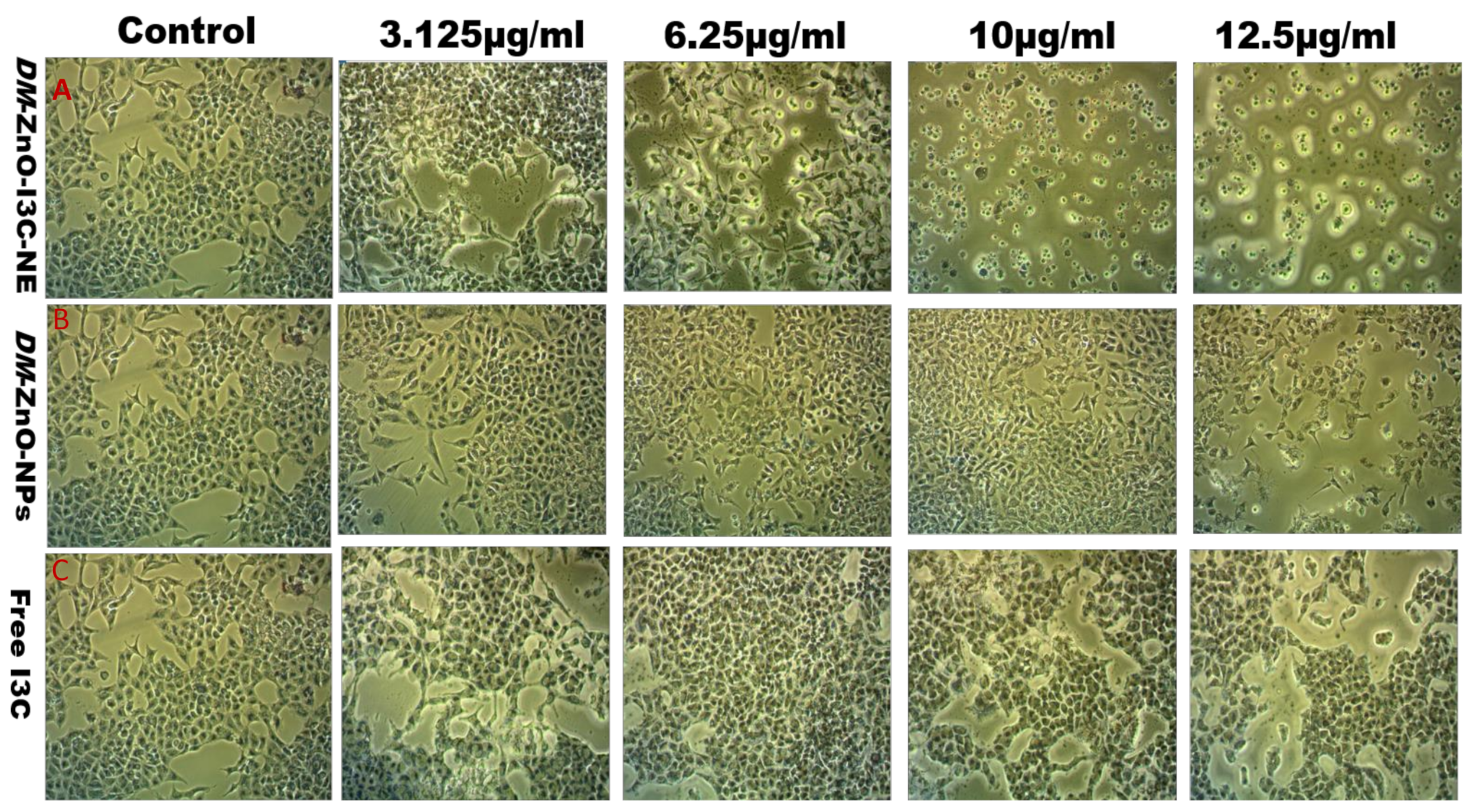 Materials 13 03197 g010 Materials 13 03197 g010