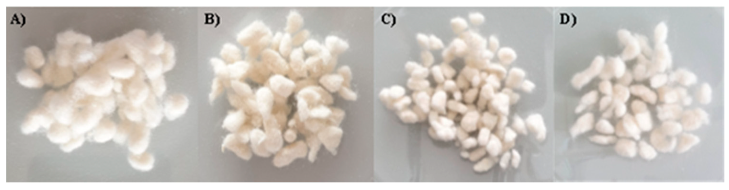 Materials 13 03208 g001