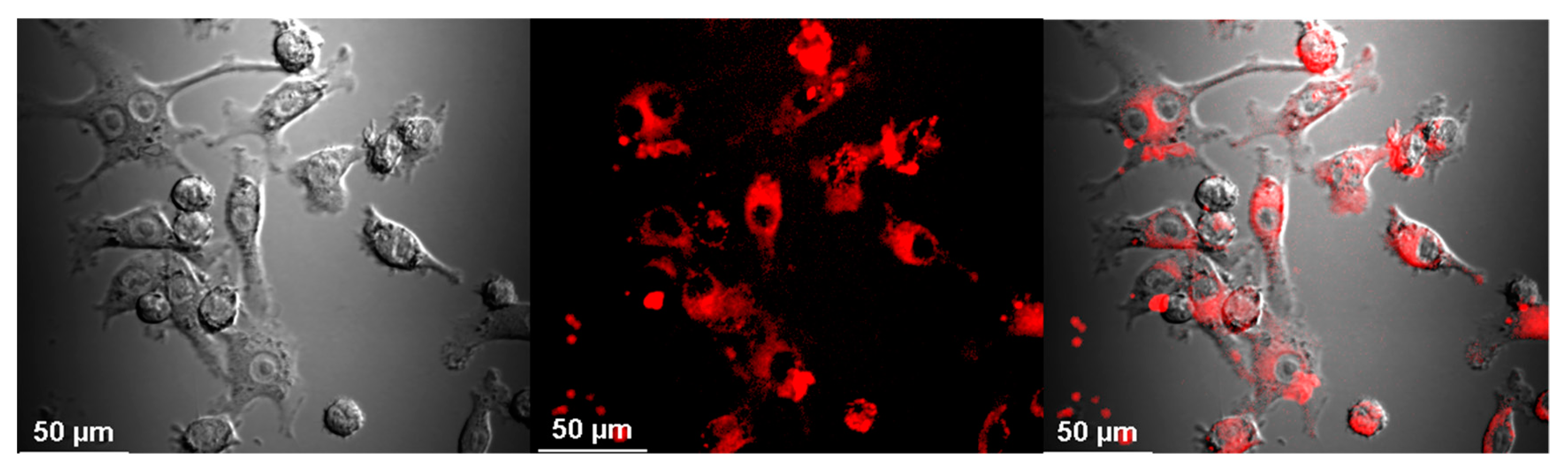 Materials 13 03227 g002 Materials 13 03227 g002