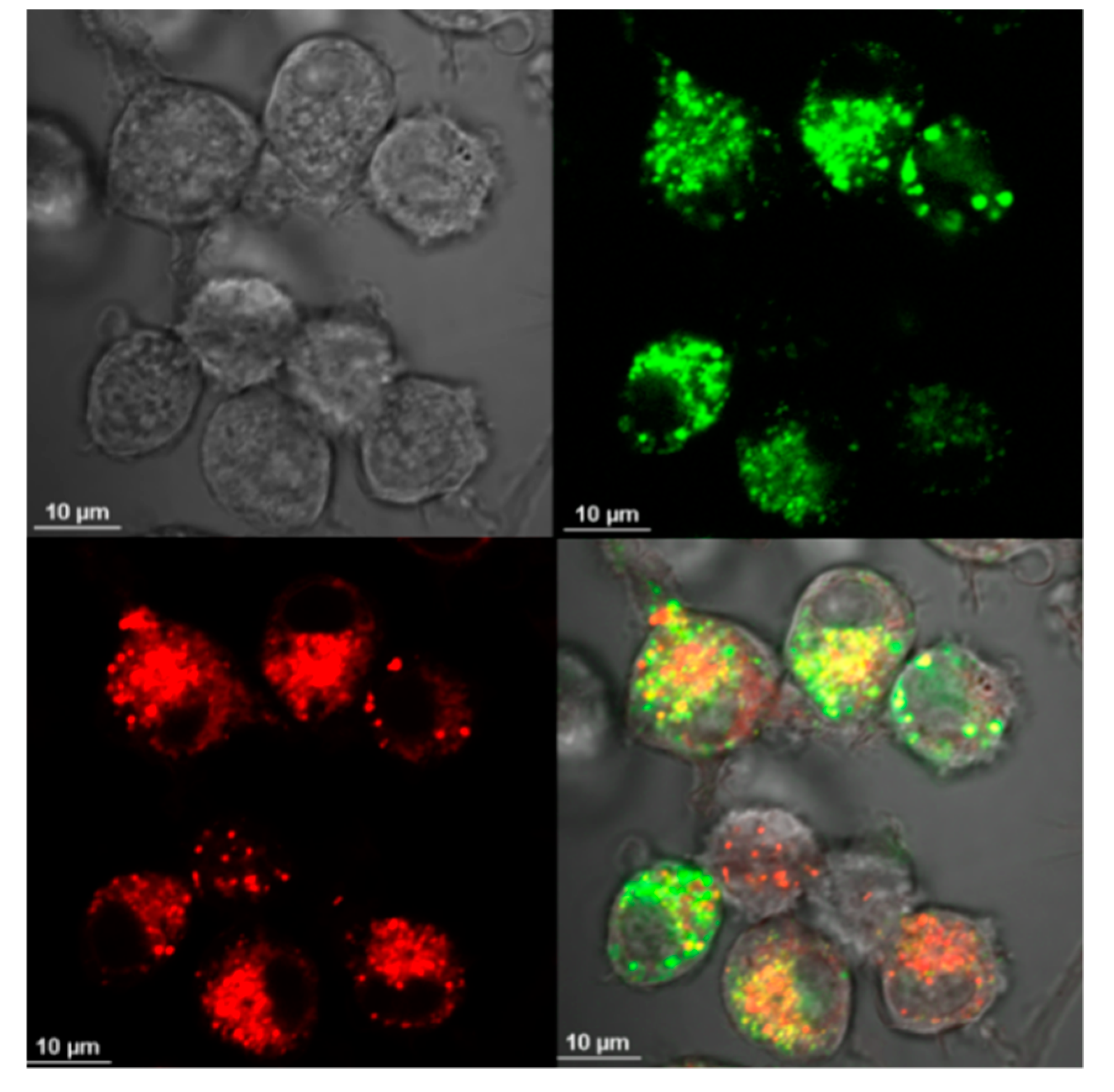 Materials 13 03227 g005 Materials 13 03227 g005