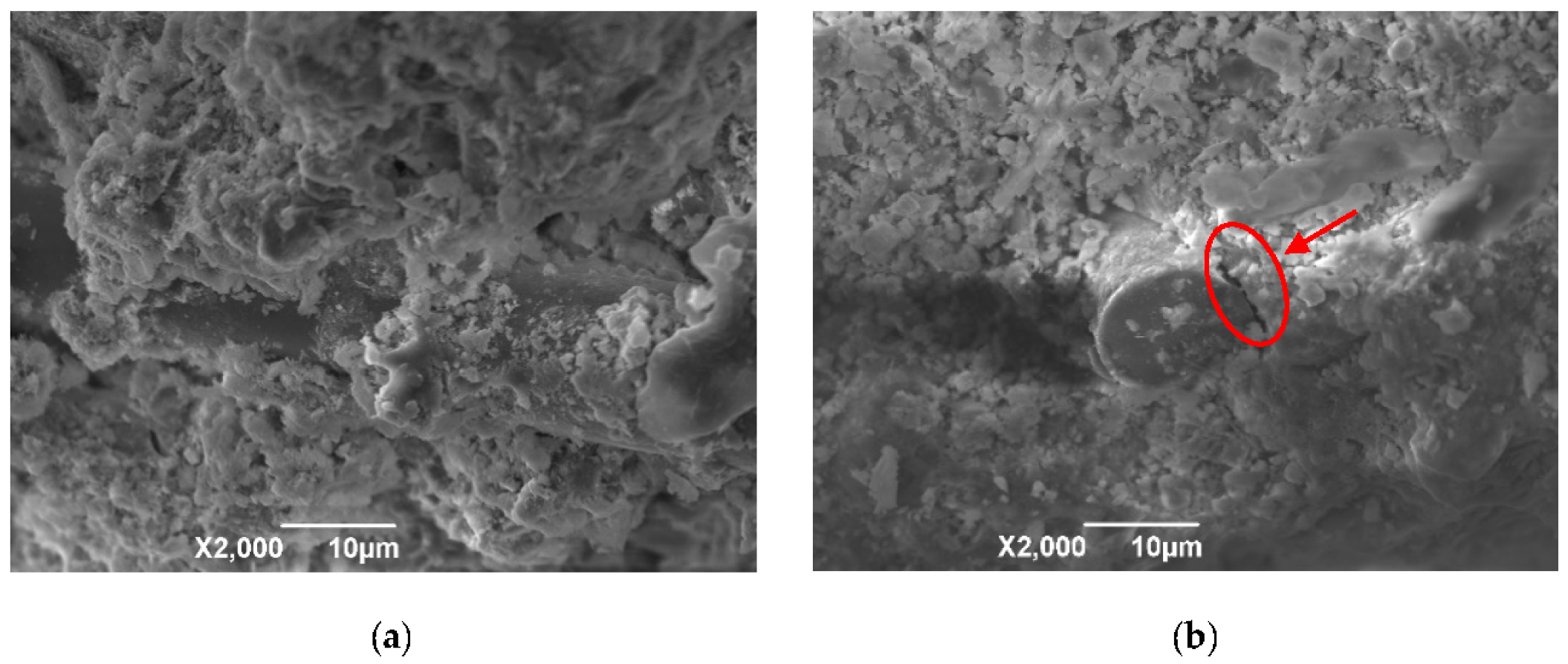 Materials 13 03238 g015a