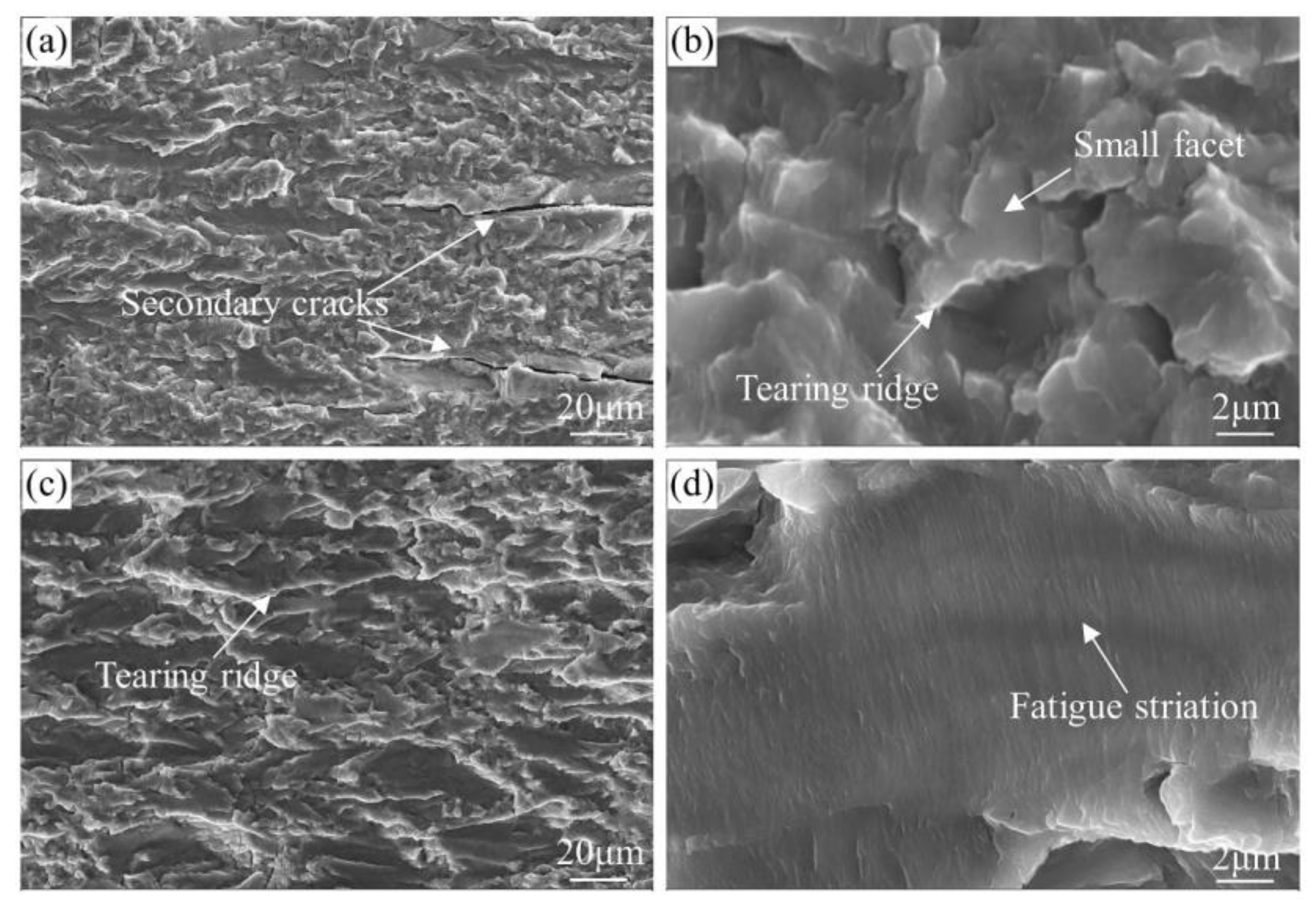 Materials 13 03248 g010 Materials 13 03248 g010