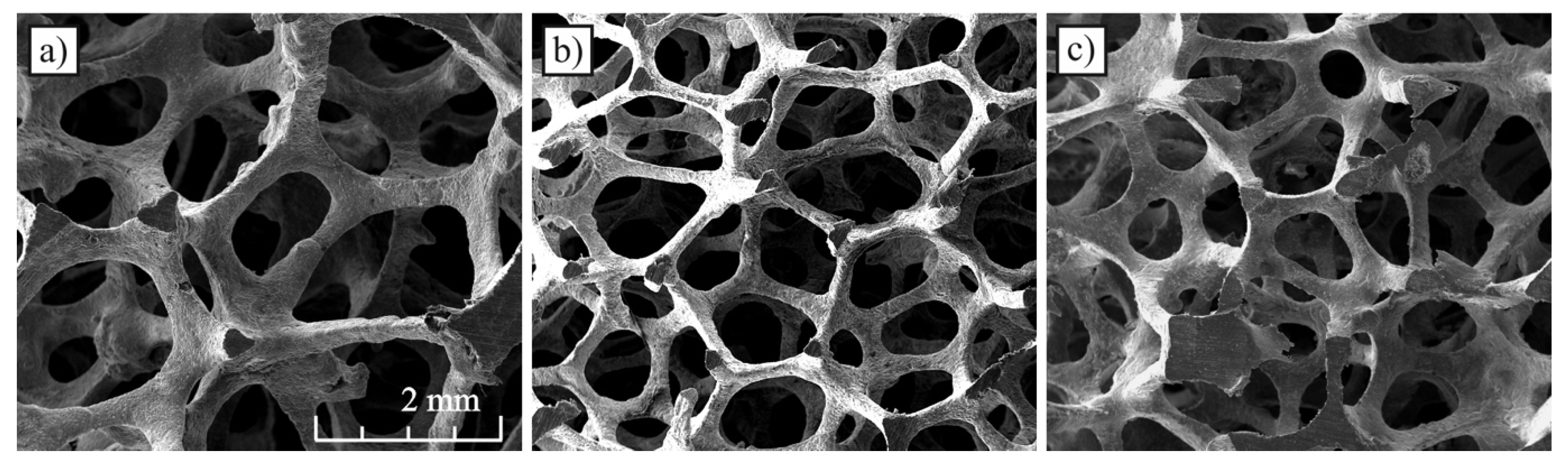 Materials 13 03254 g001 550