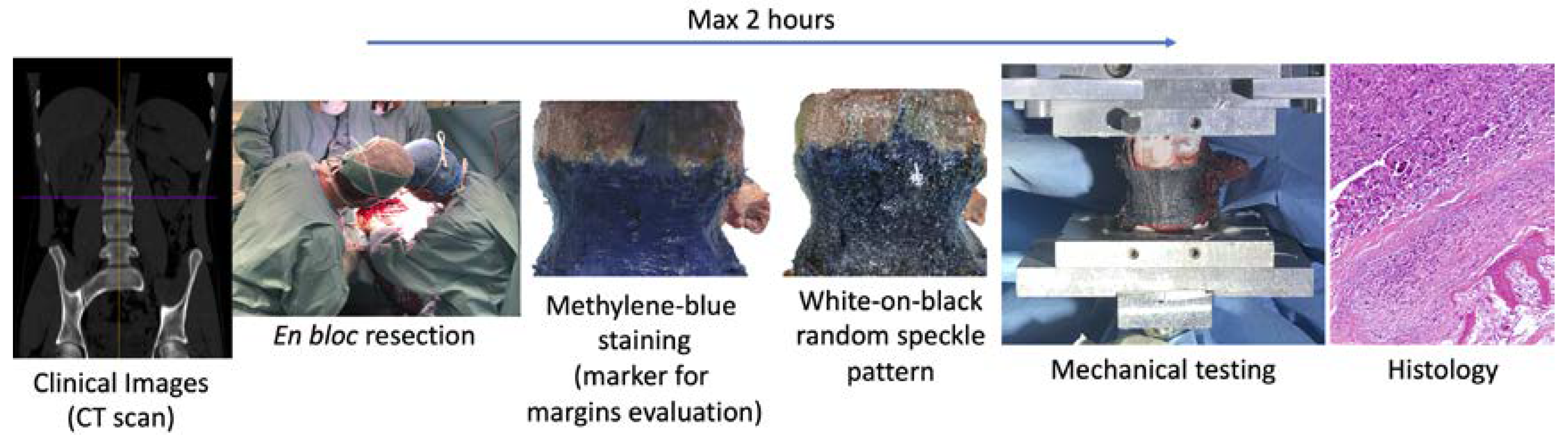 Materials 13 03256 g001 Materials 13 03256 g001