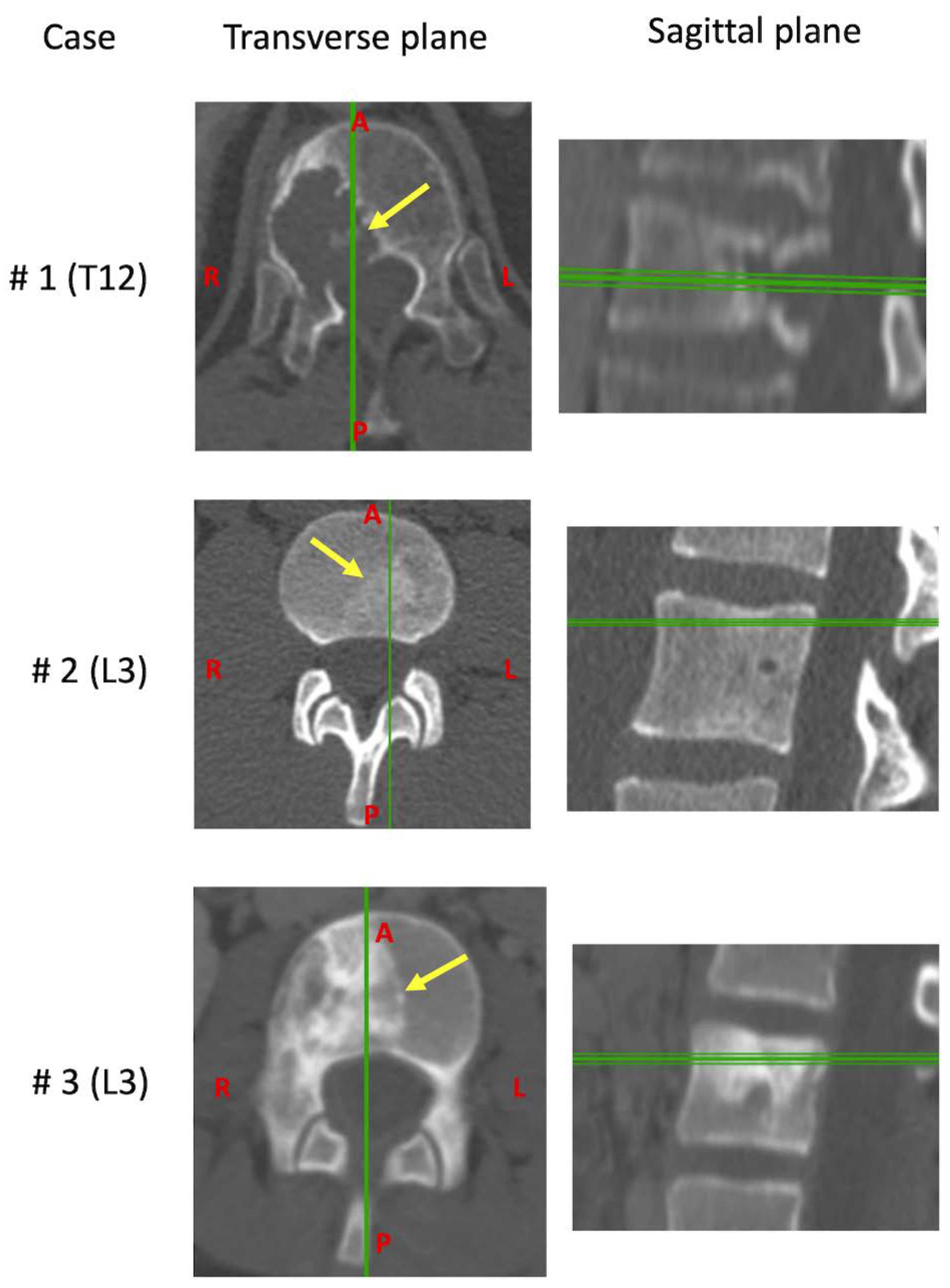Materials 13 03256 g002 Materials 13 03256 g002