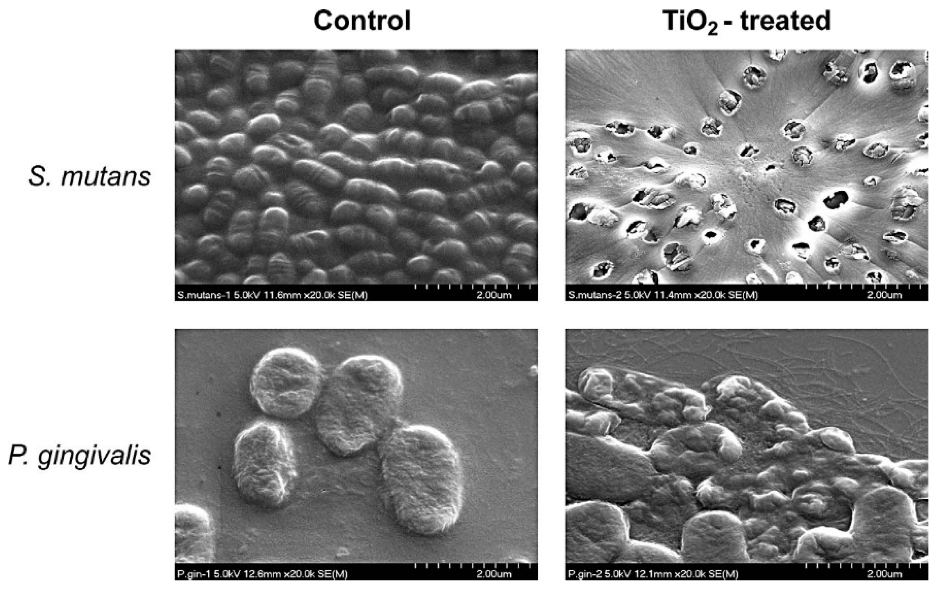 Materials 13 03257 g005 Materials 13 03257 g005