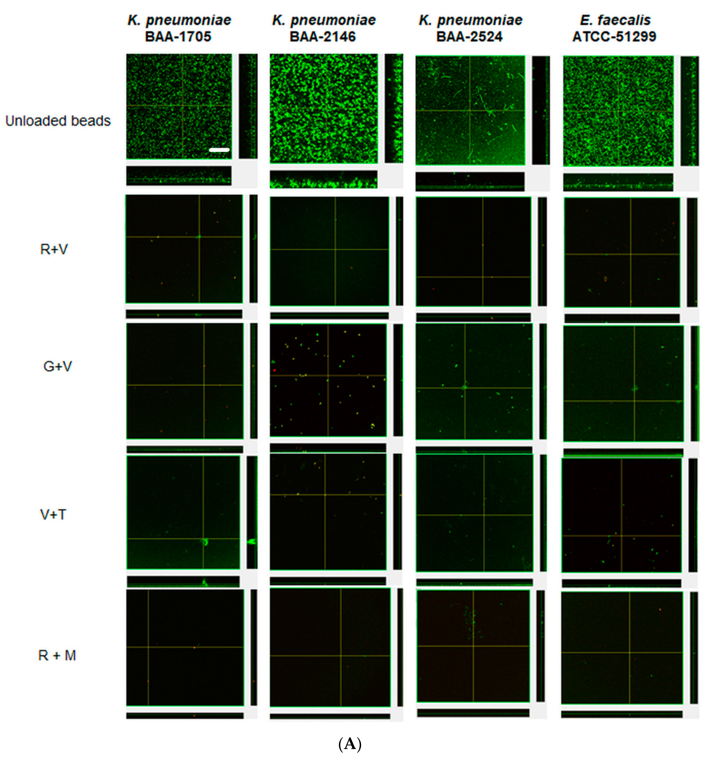 Materials 13 03258 g003a