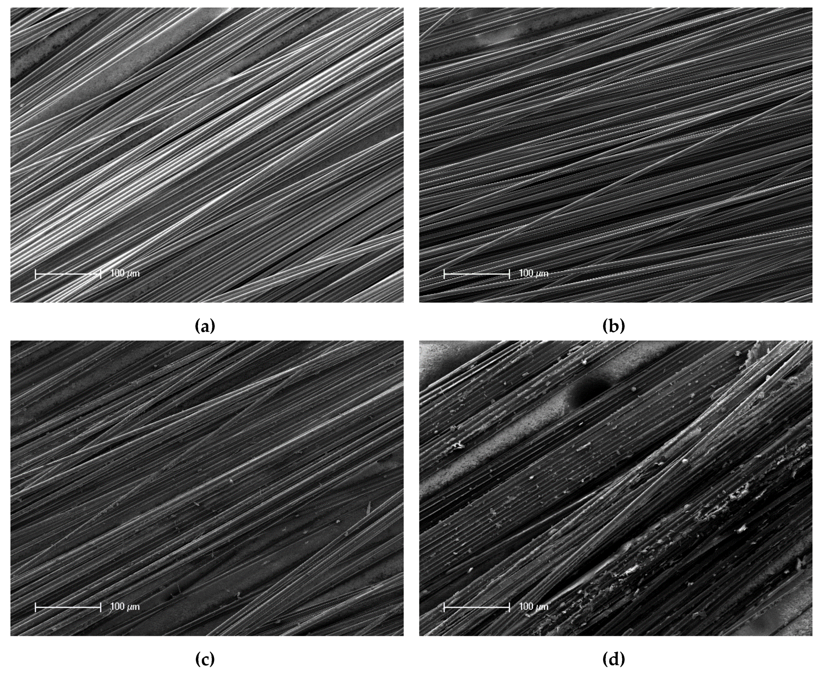 Materials 13 03267 g005 Materials 13 03267 g005