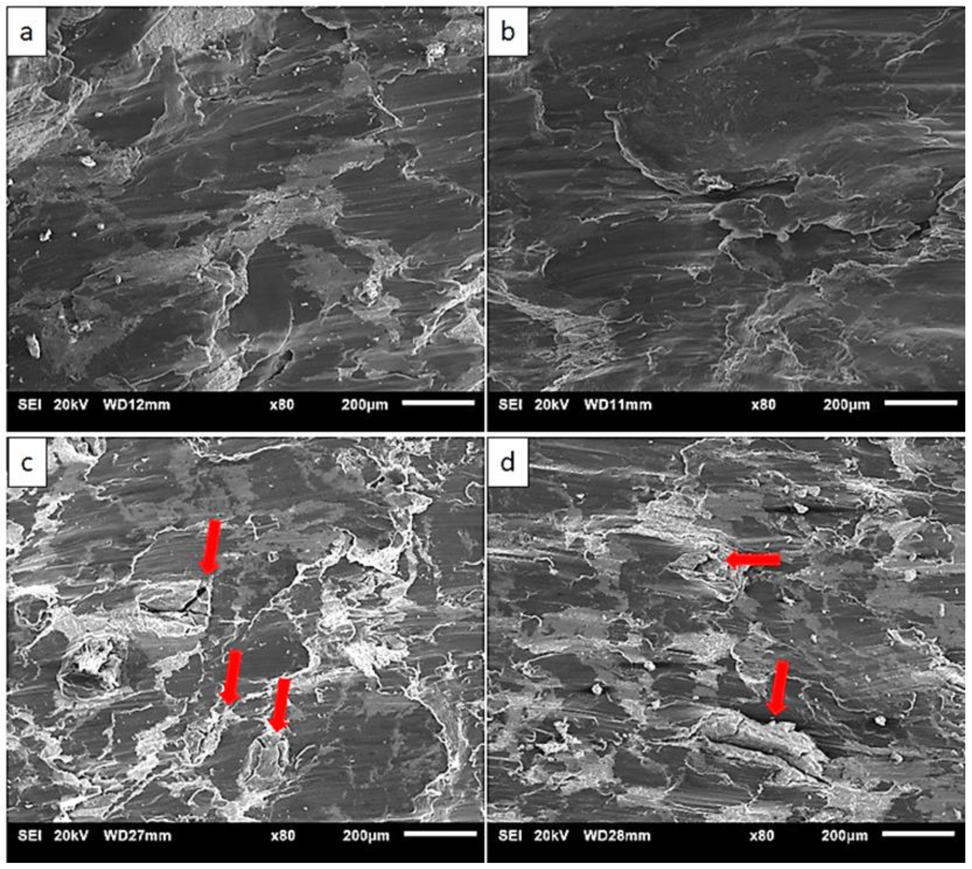 Materials 13 03283 g007 Materials 13 03283 g007