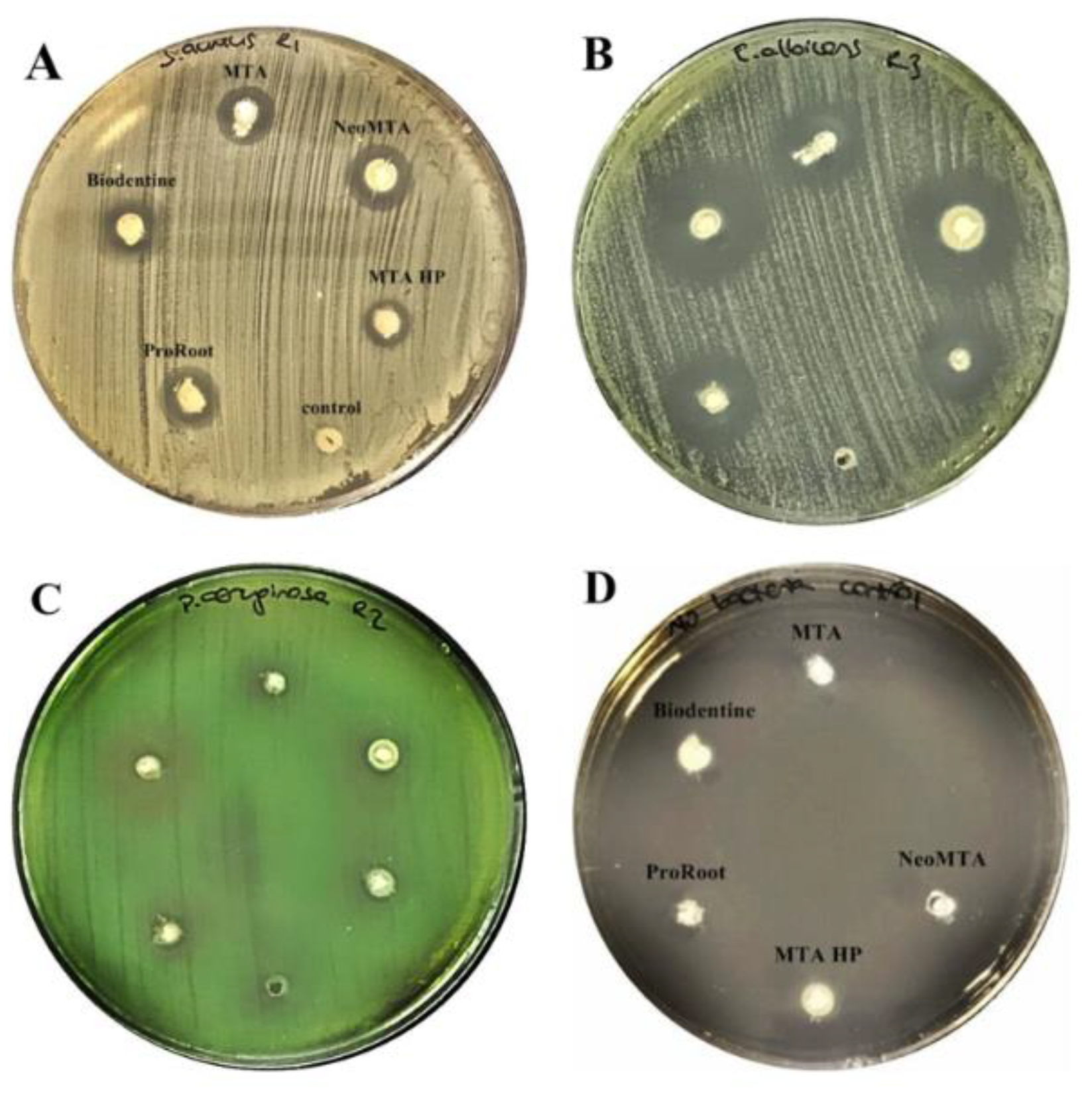 Materials 13 03287 g001