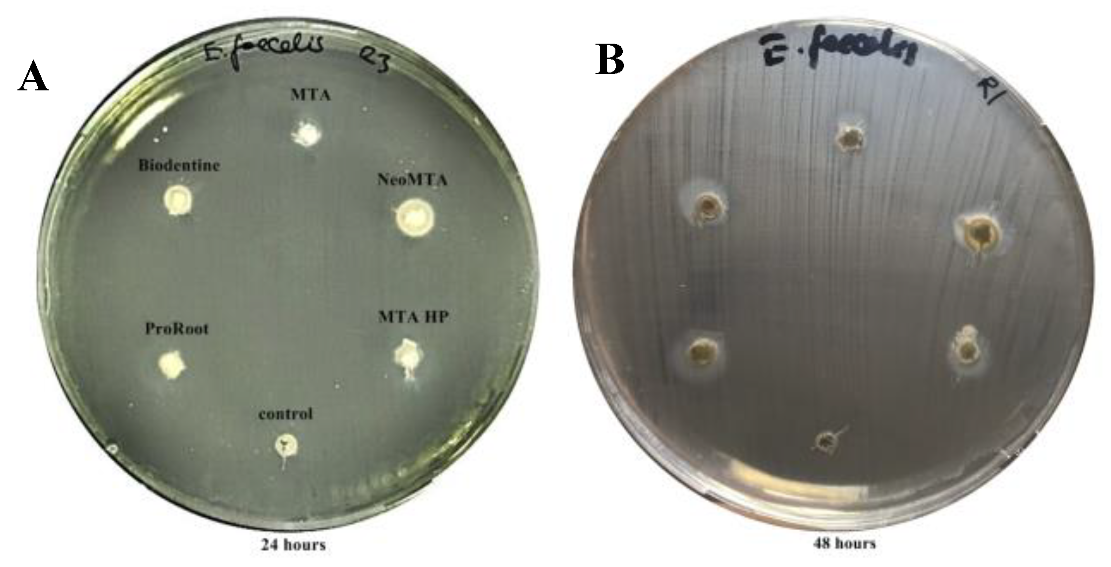 Materials 13 03287 g002