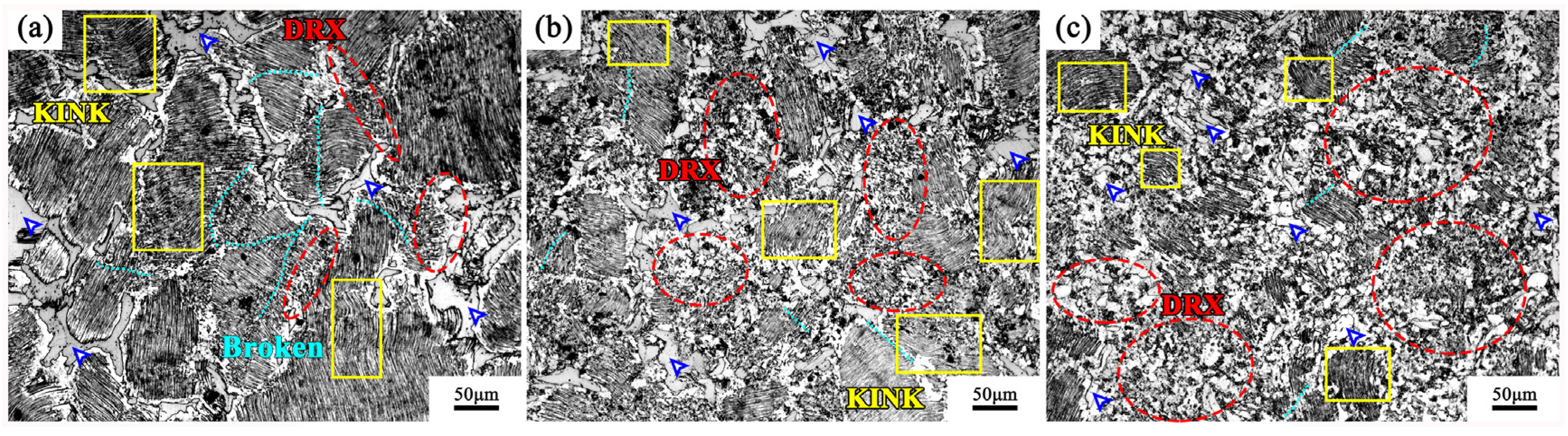 Materials 13 03290 g003 Materials 13 03290 g003