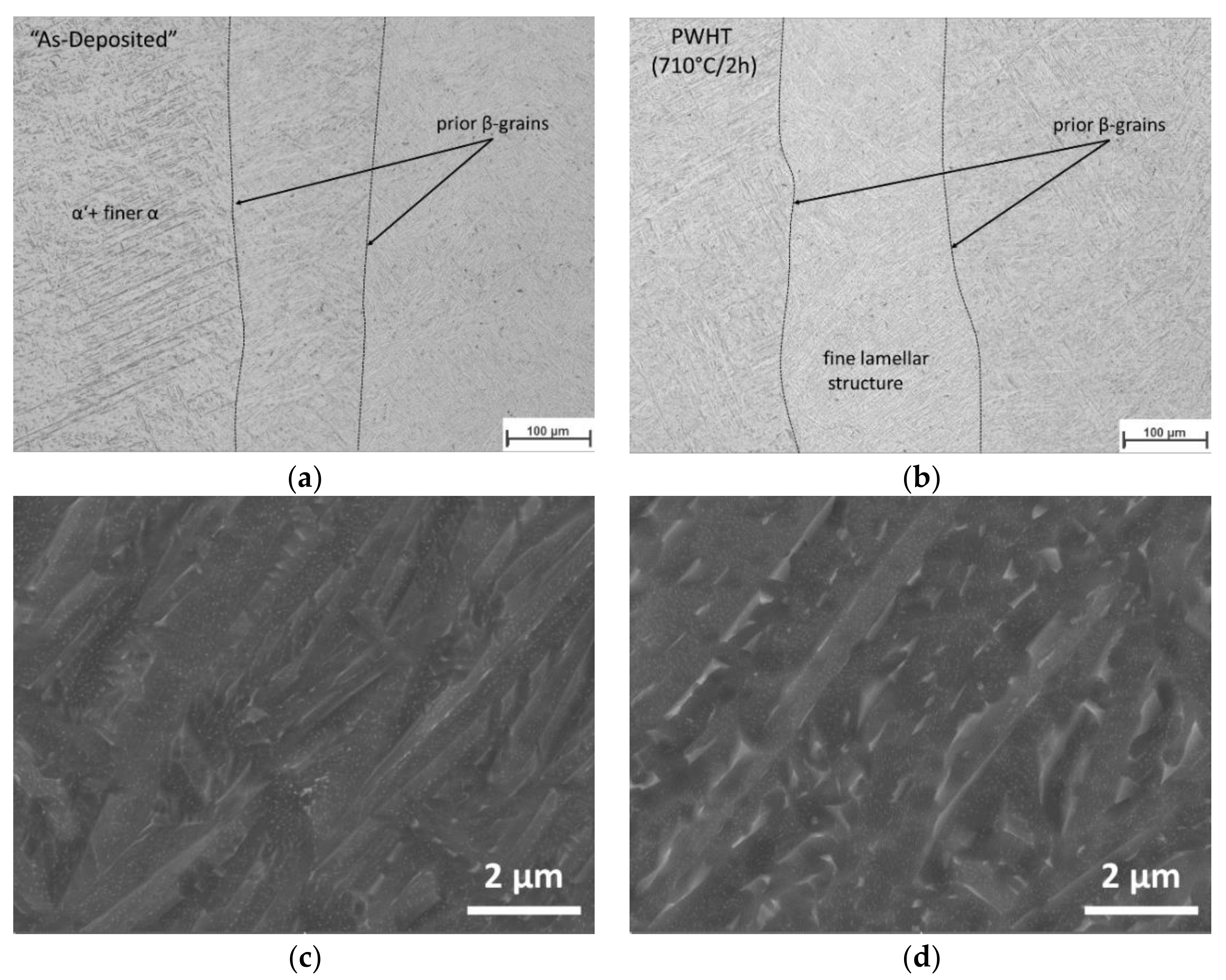 Materials 13 03310 g007 Materials 13 03310 g007