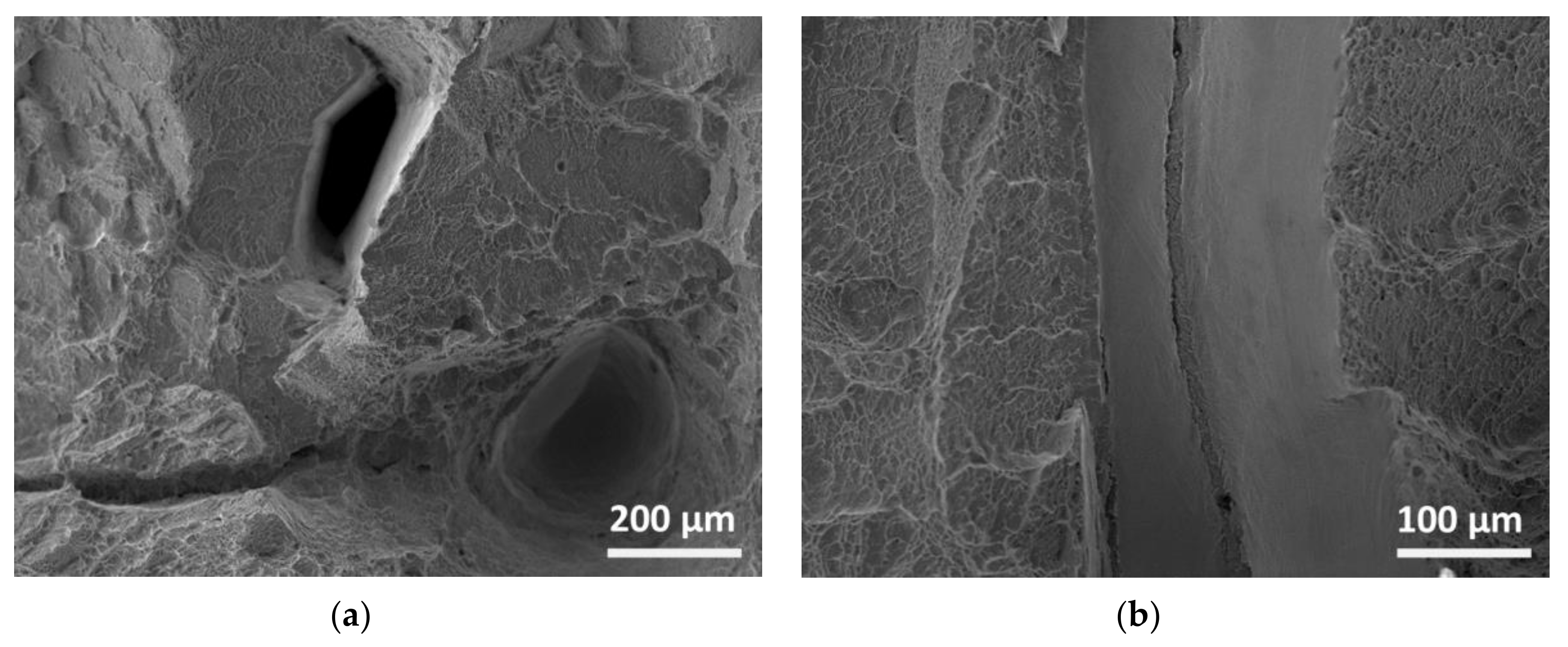 Materials 13 03310 g011 Materials 13 03310 g011