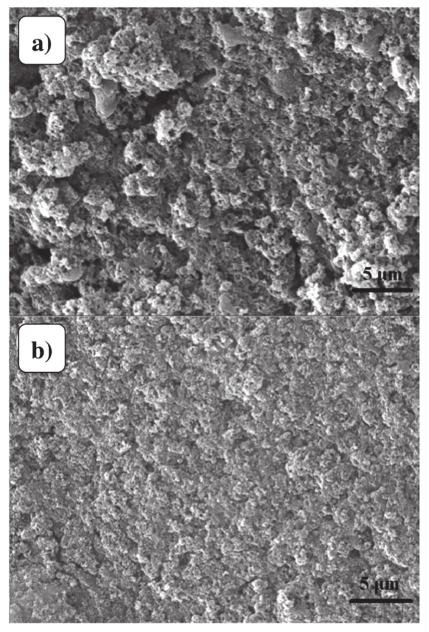 Materials 13 03311 g005 Materials 13 03311 g005