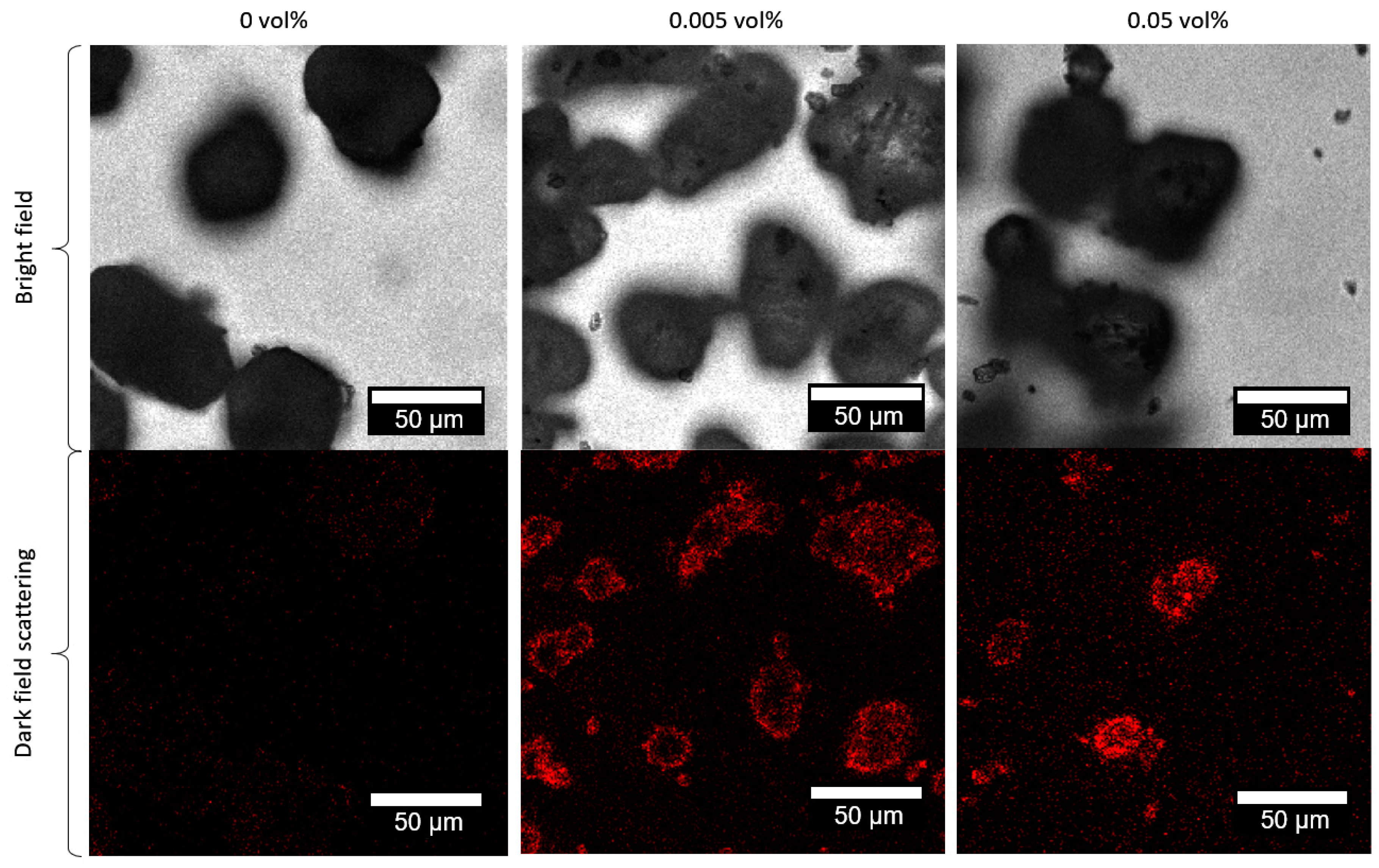 Materials 13 03312 g005
