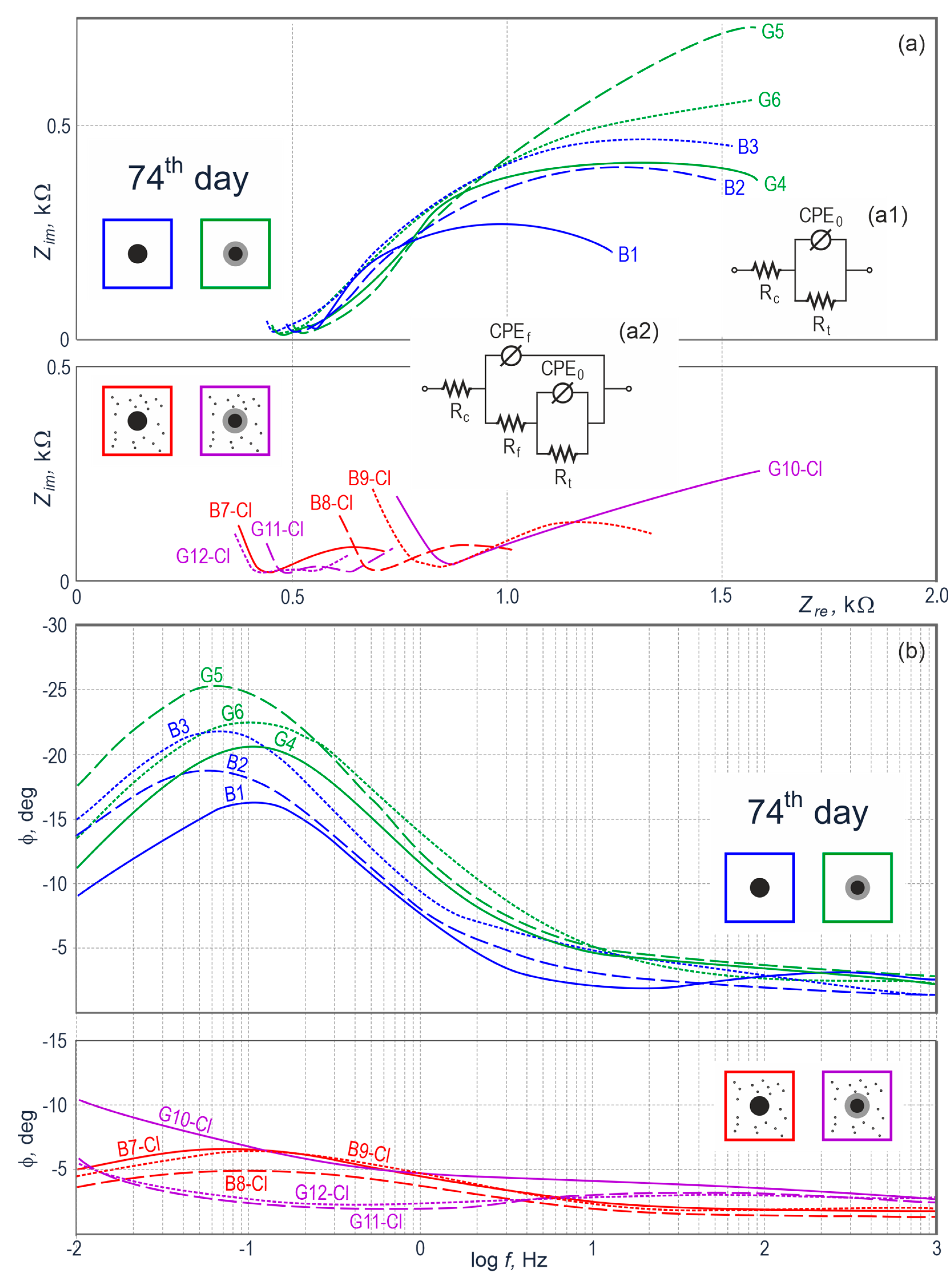Materials Free Full Text A Two Year Evaluation Of Corrosion Induced Damage To Hot Galvanized Reinforcing Steel B500sp In Chloride Contaminated Concrete Html