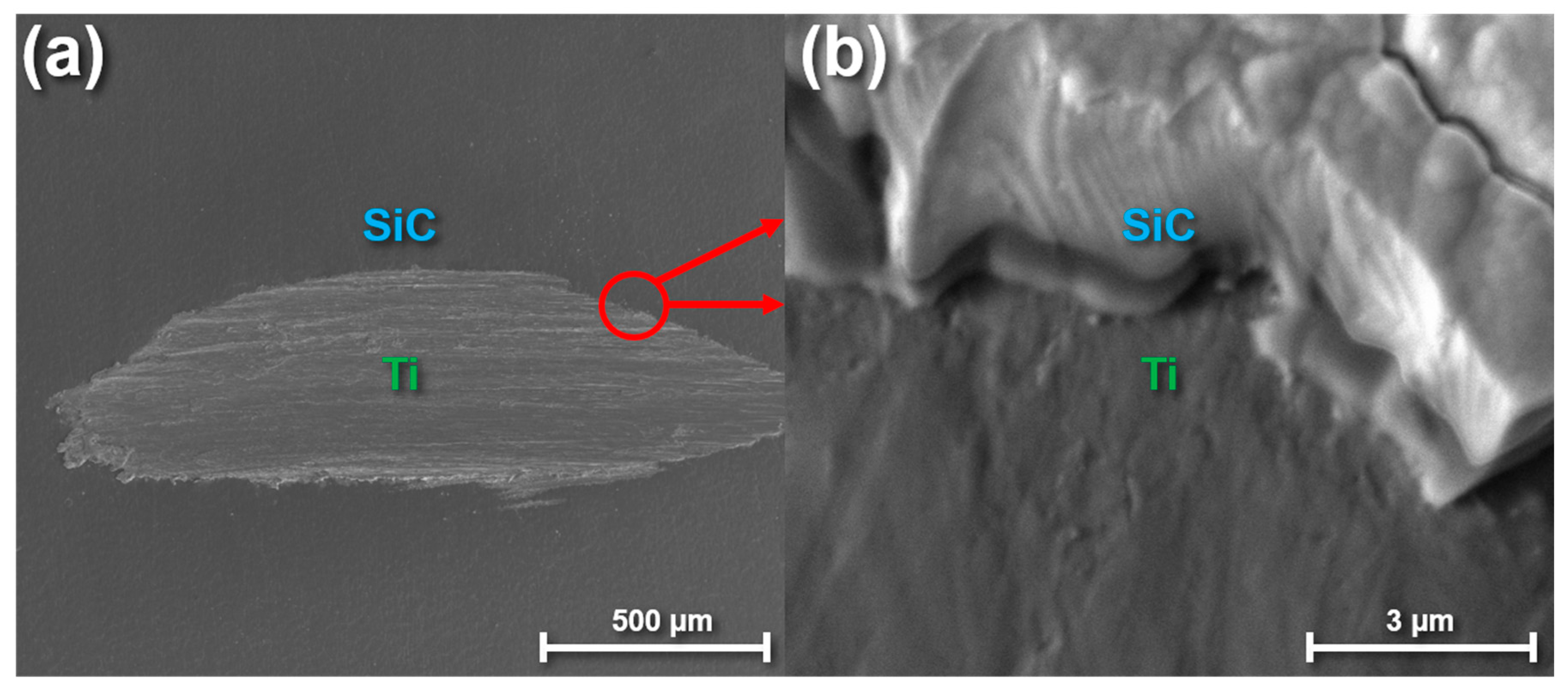 Materials 13 03321 g002