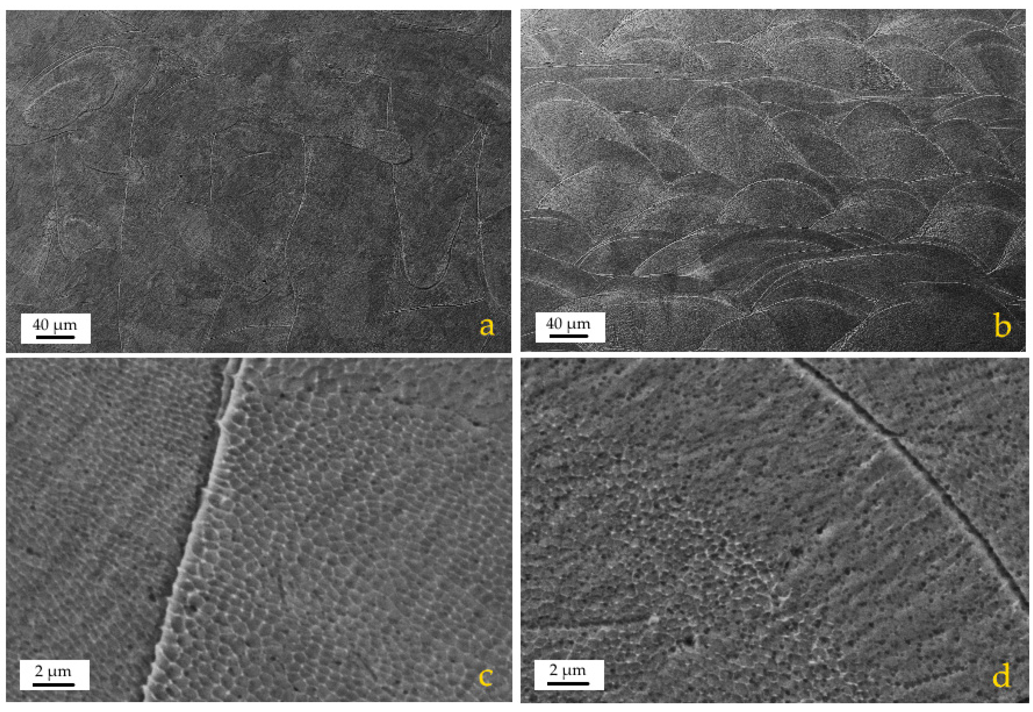 Materials 13 03328 g004