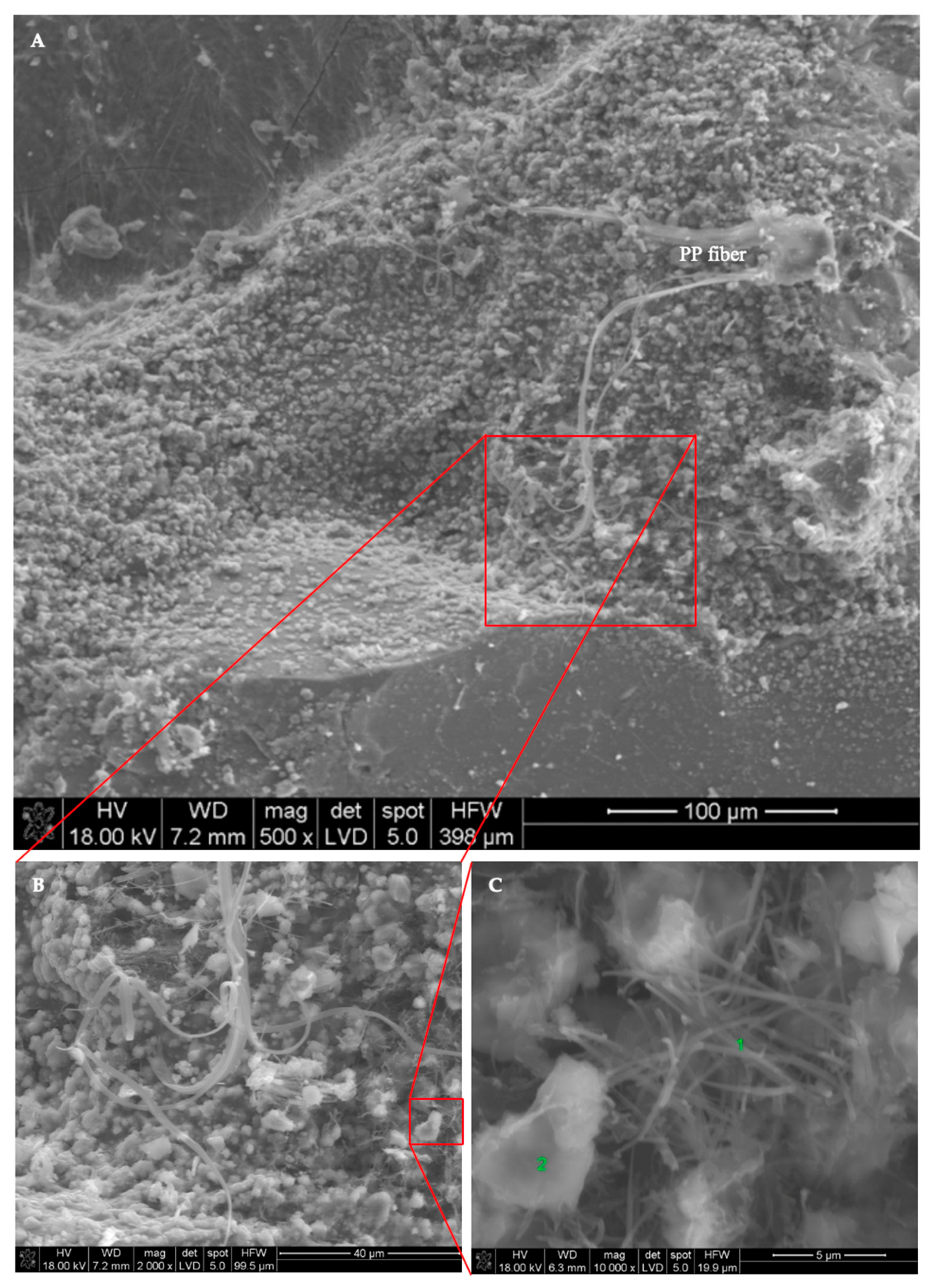 Materials 13 03336 g017