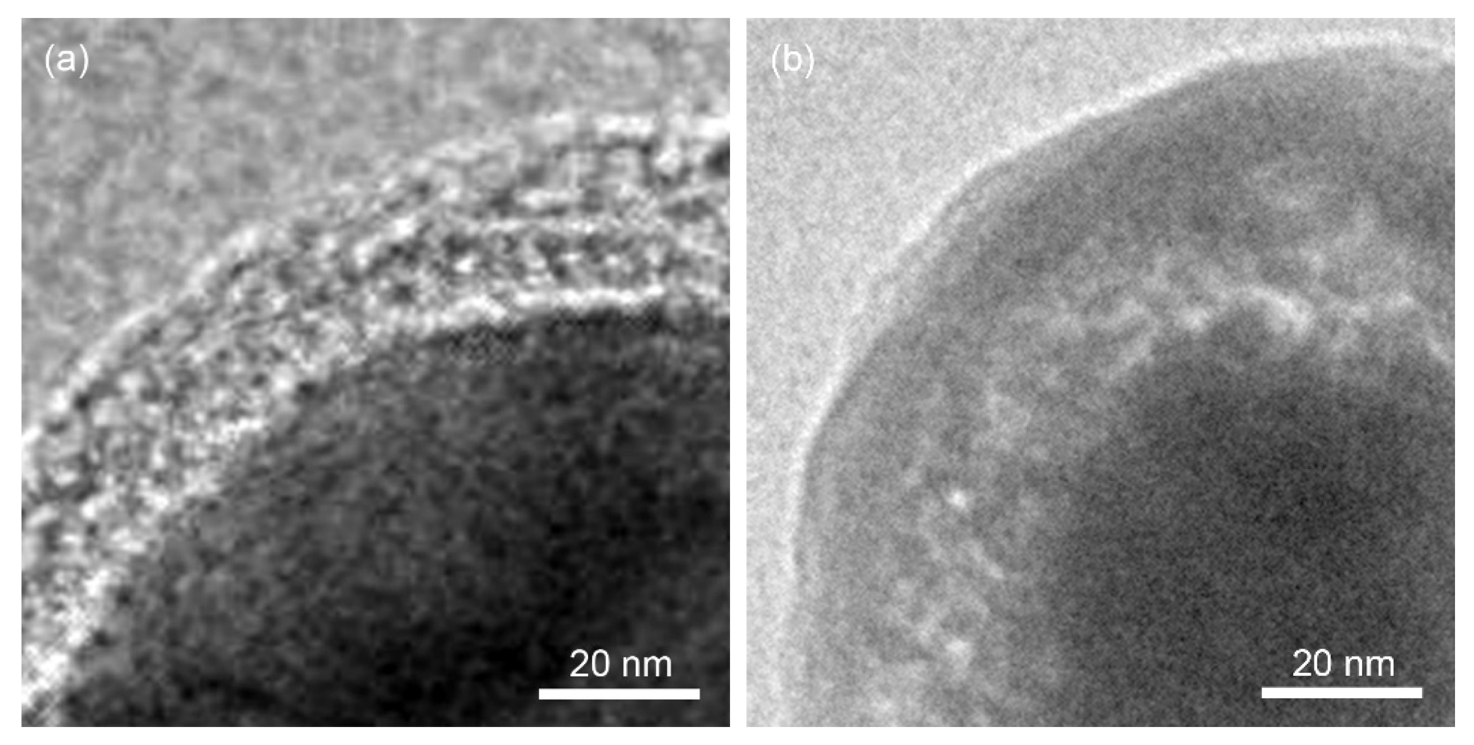 Materials 13 03341 g004 Materials 13 03341 g004