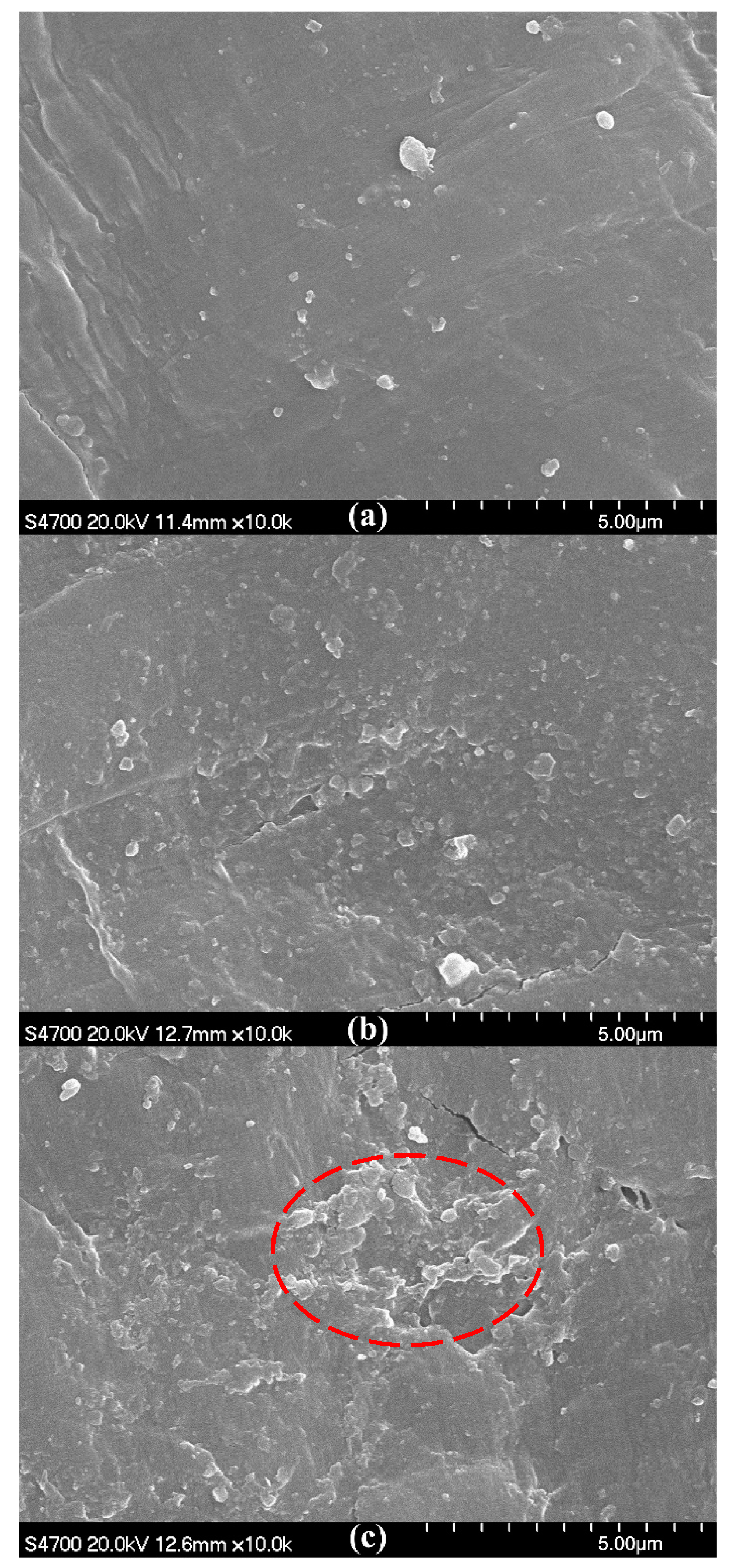 Materials 13 03342 g003