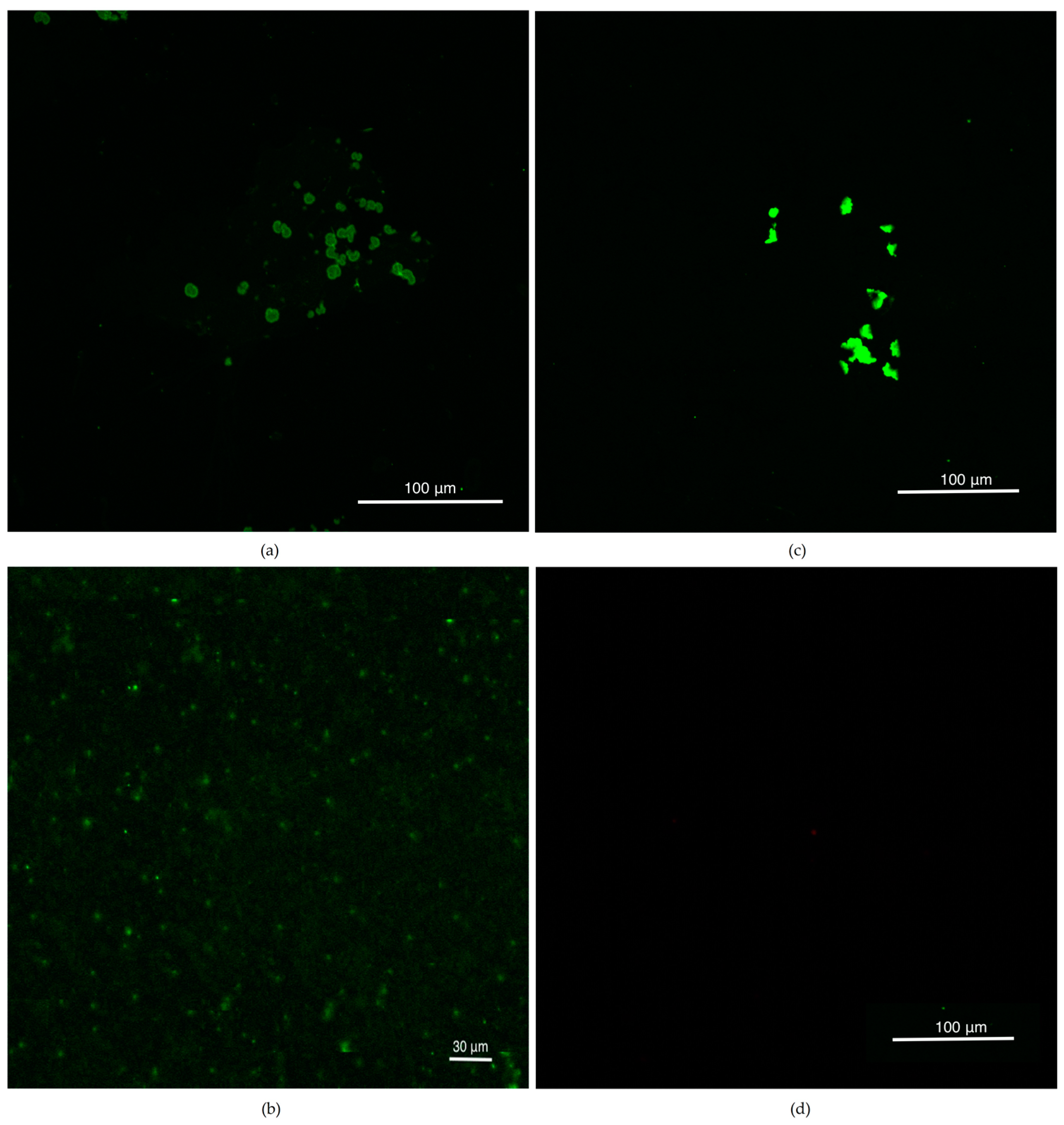 Materials 13 03344 g001 Materials 13 03344 g001