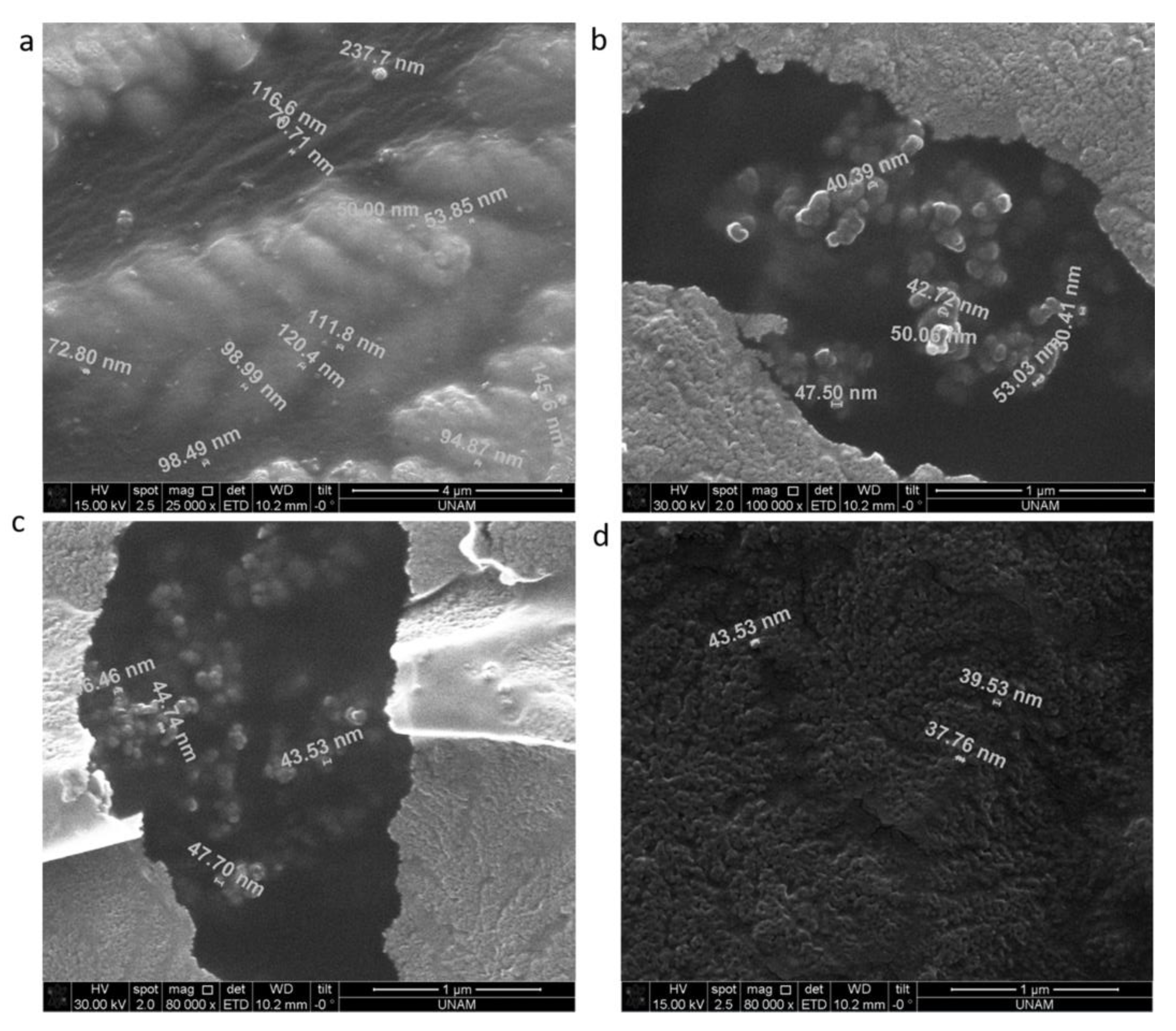 Materials 13 03344 g005 Materials 13 03344 g005