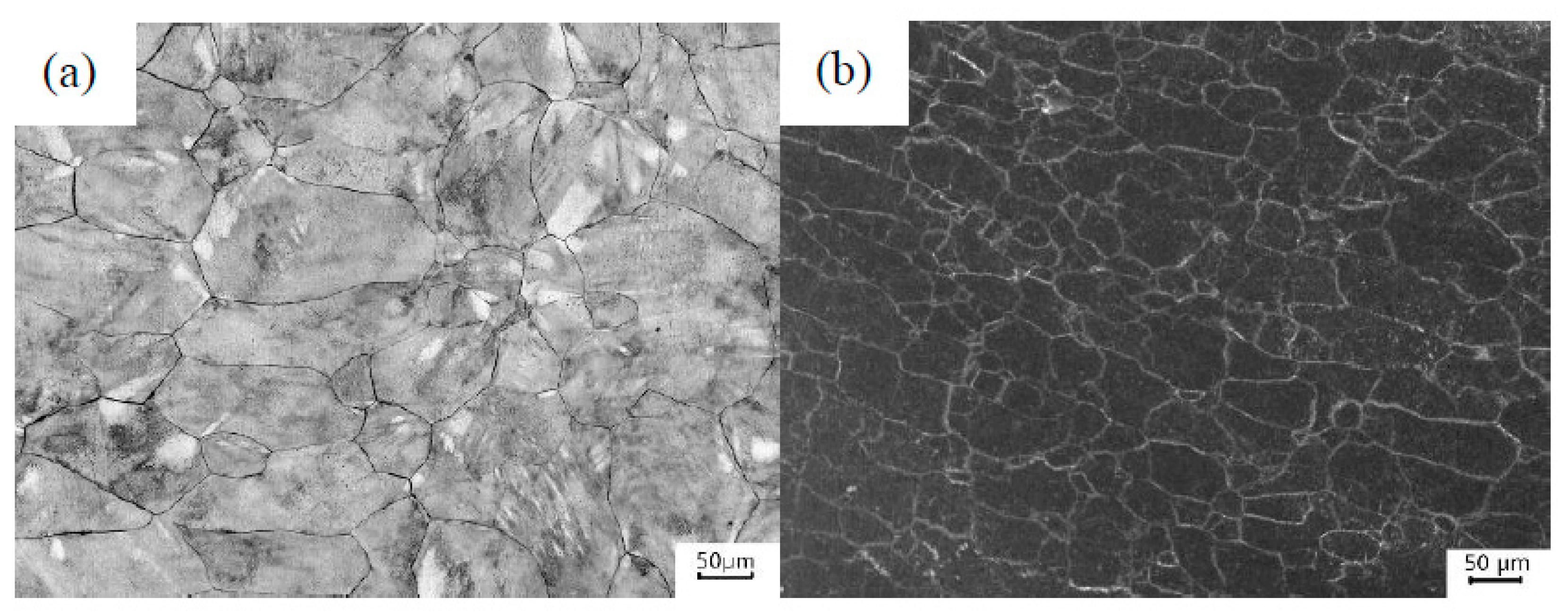 Materials 13 03347 g004 Materials 13 03347 g004