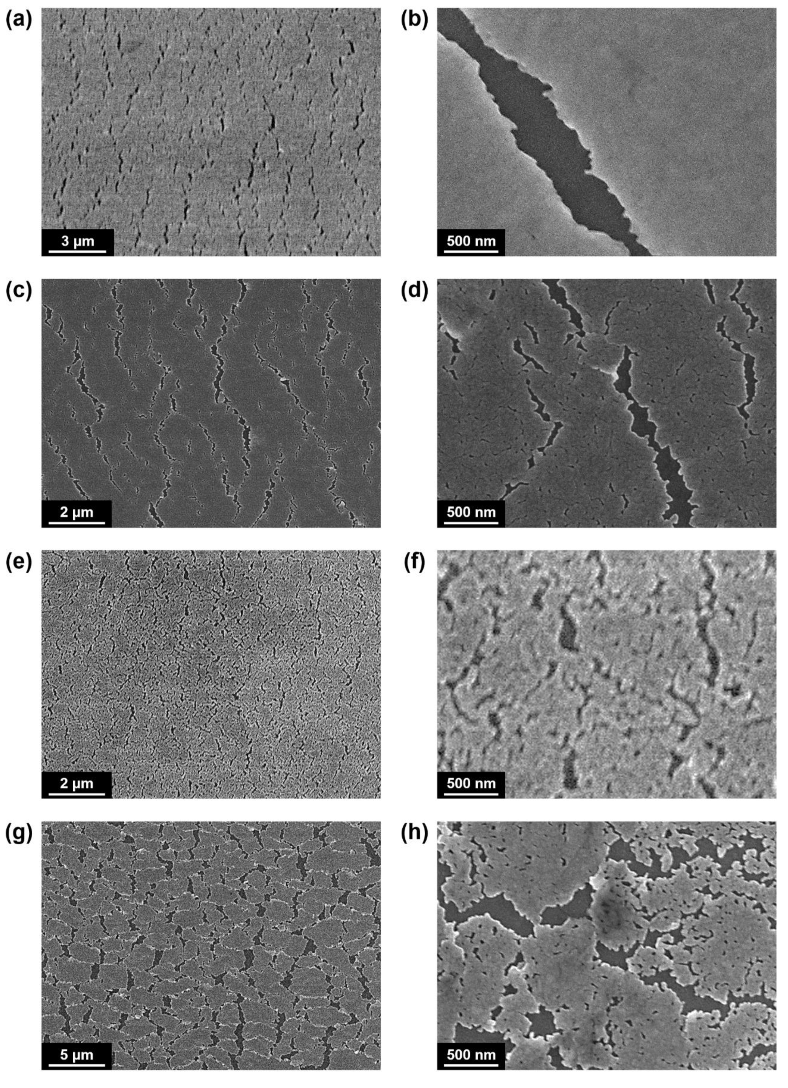 Materials 13 03349 g003 Materials 13 03349 g003