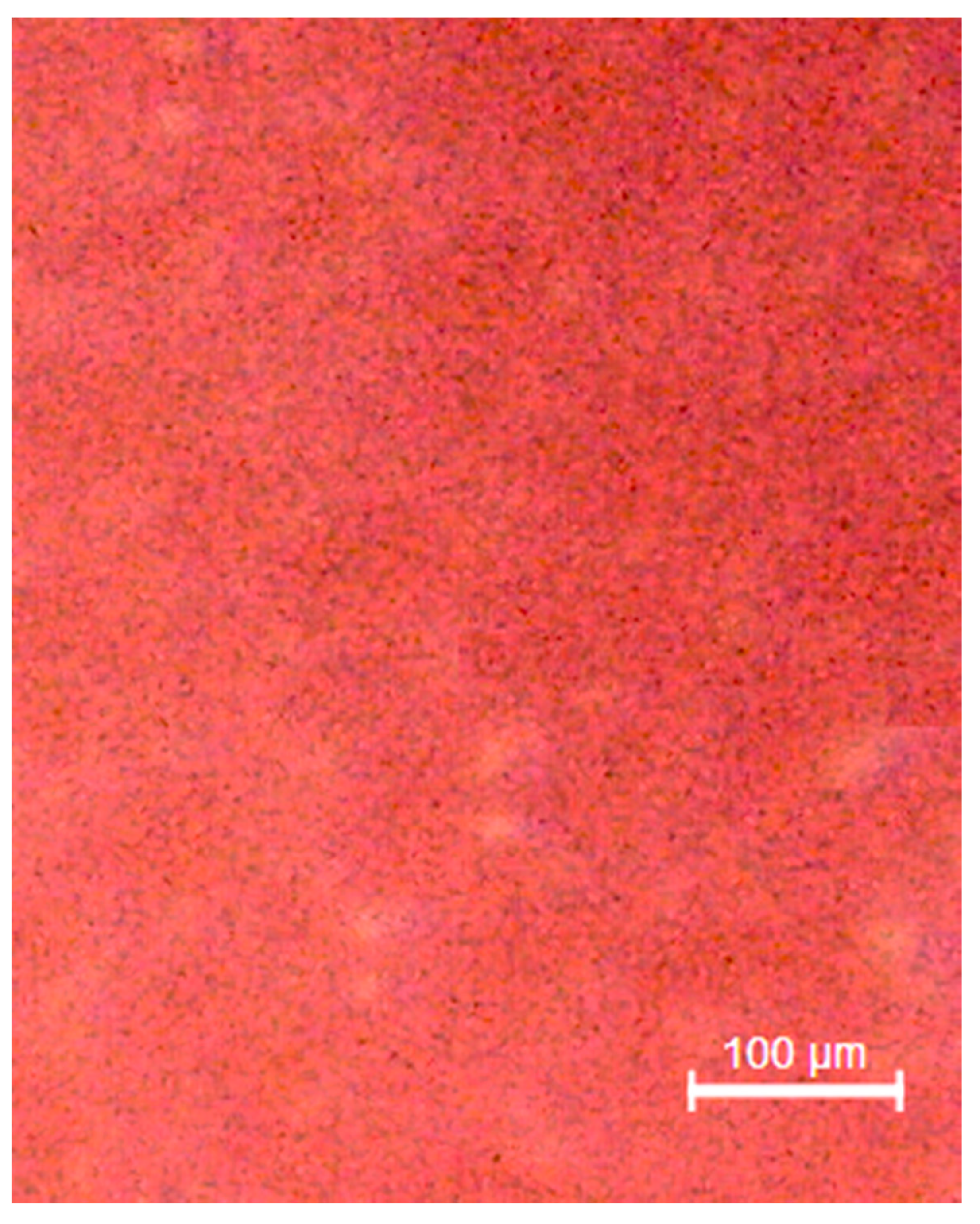 Materials 13 03350 g005 Materials 13 03350 g005