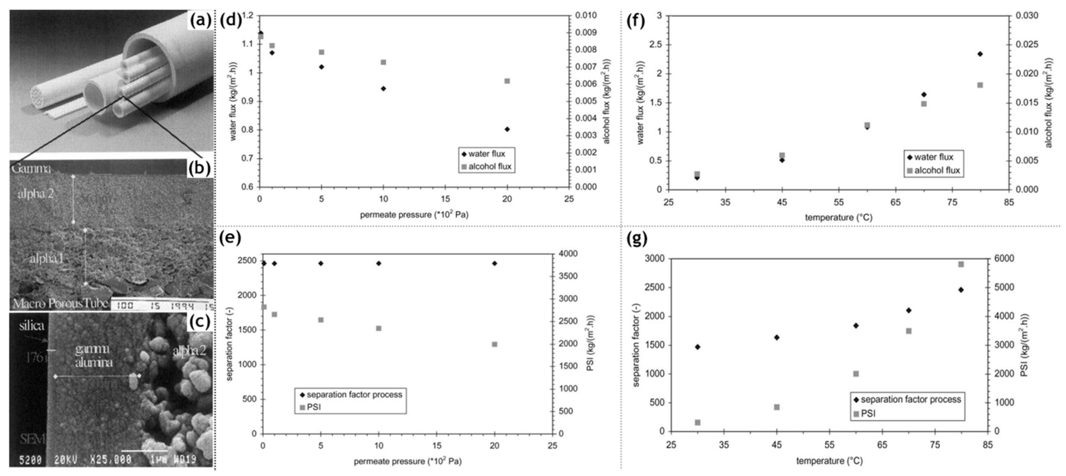 Materials 13 03354 g005