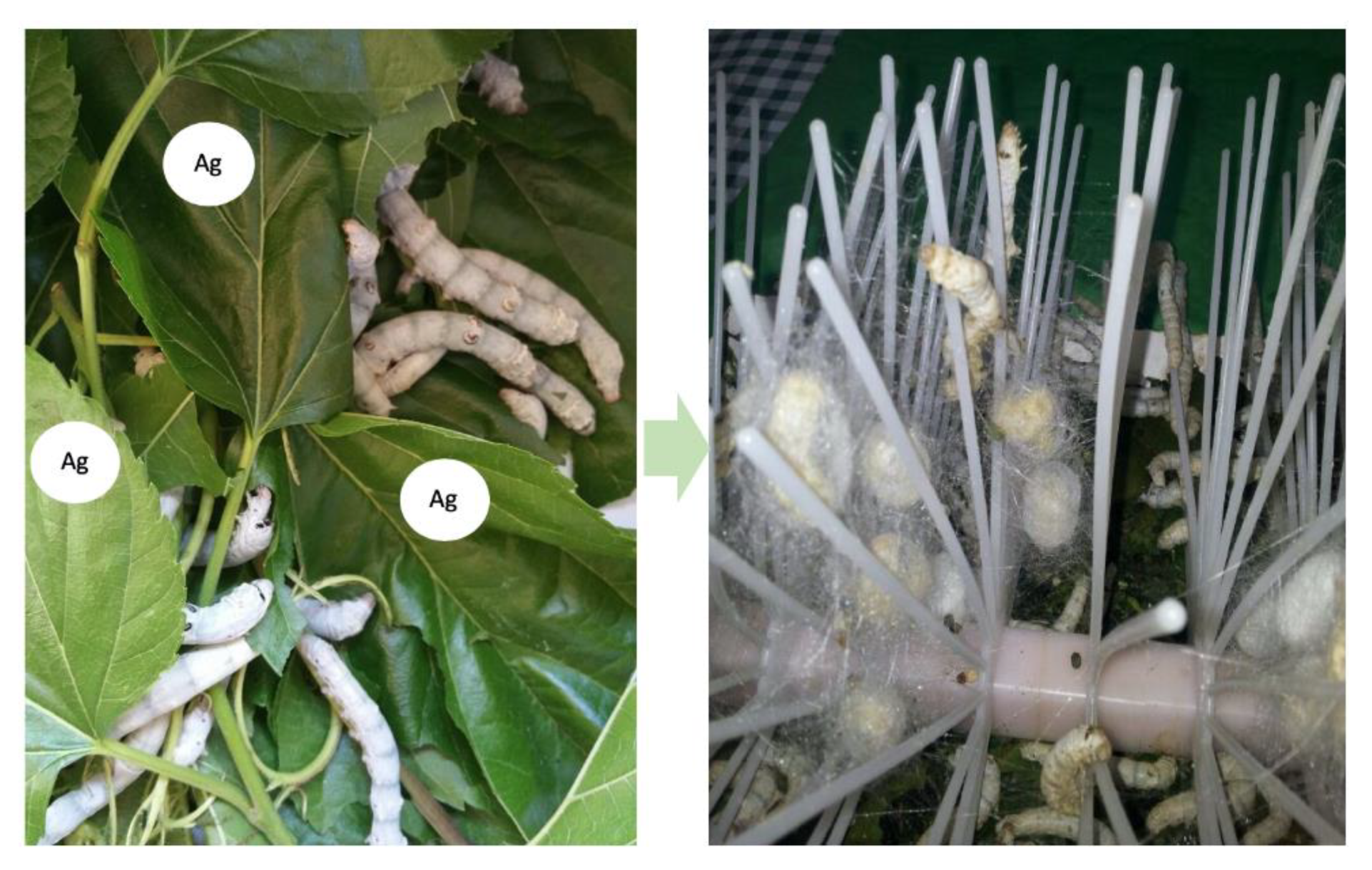 Materials 13 03361 g004