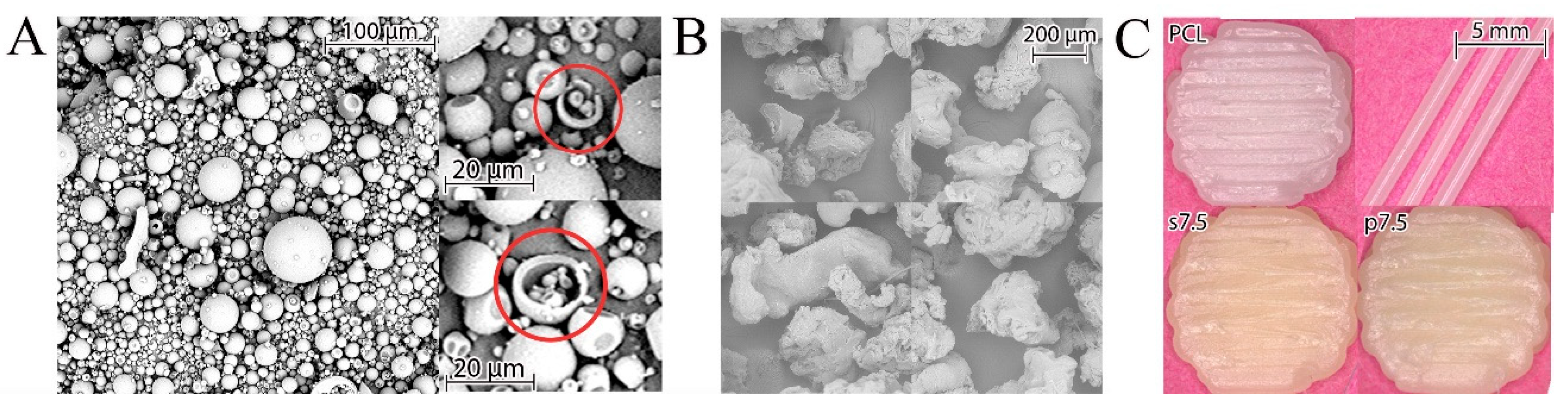 Materials 13 03364 g003